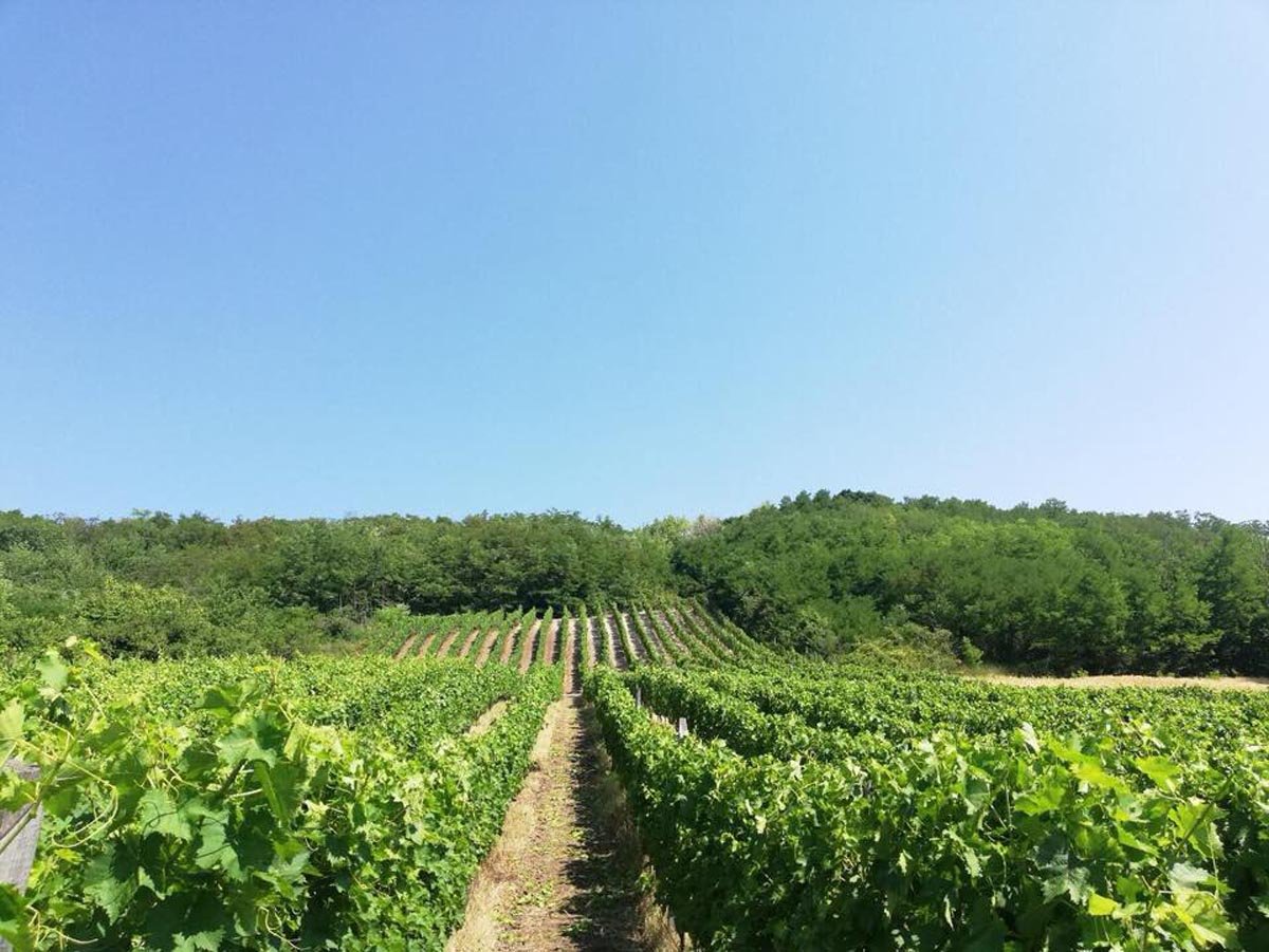 galerija26.jpg