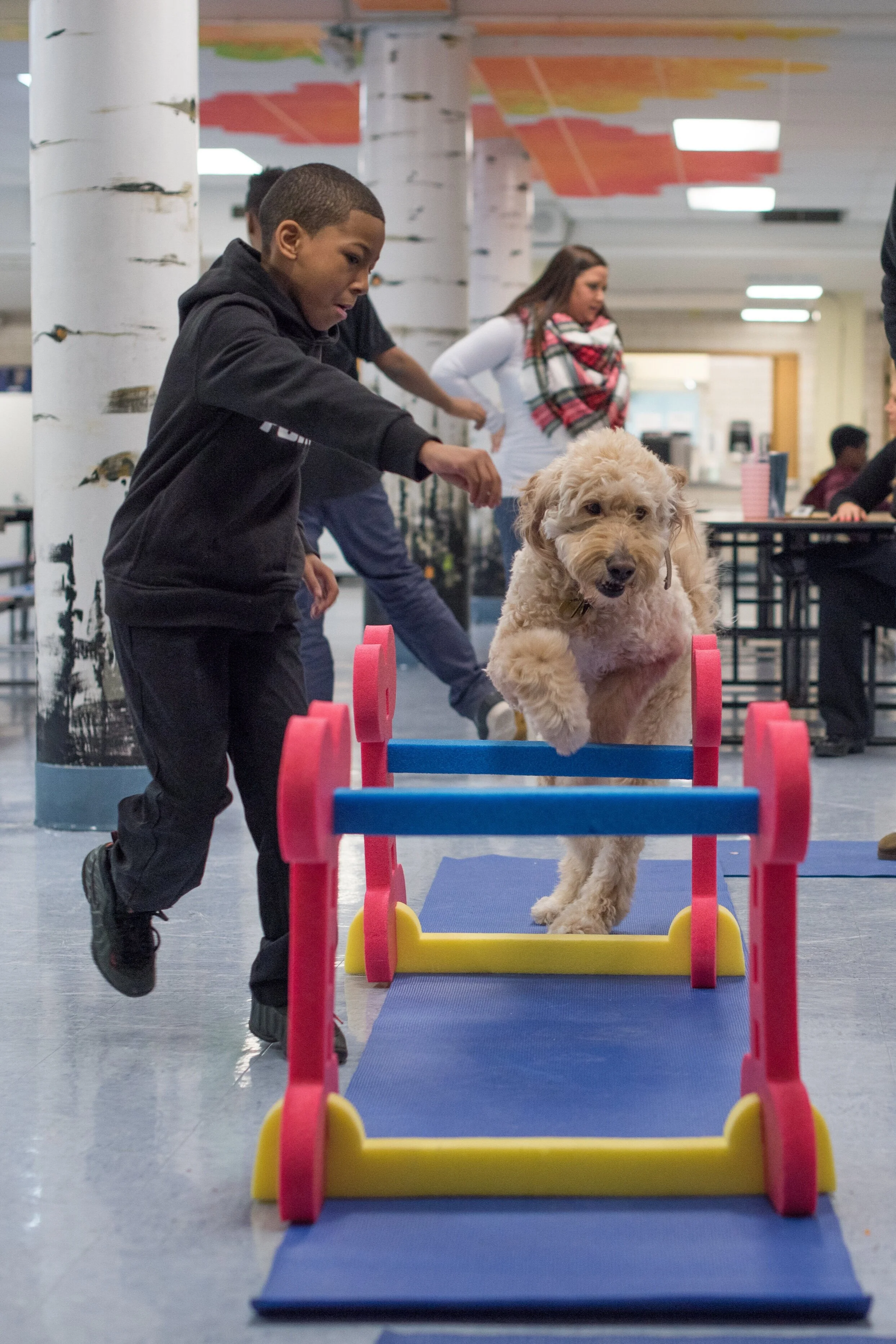 Canine Inspired Change | Therapy Dog Programs & Relationship-Focused ...