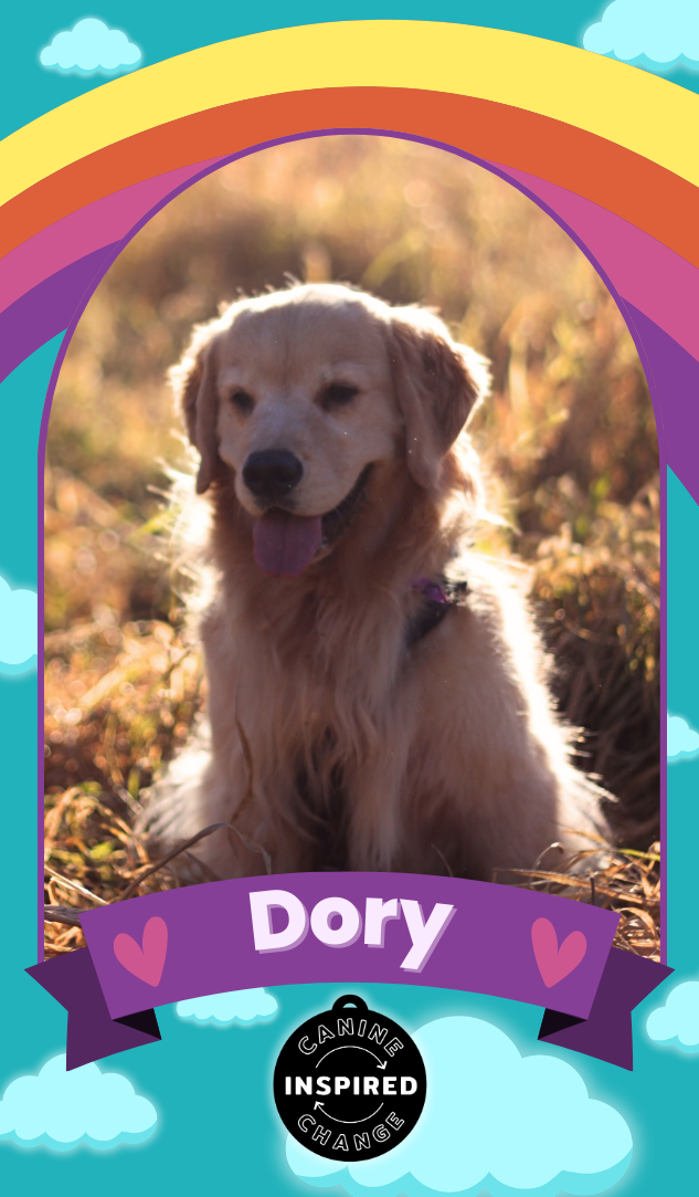 Therapy Dog Trading Cards!
