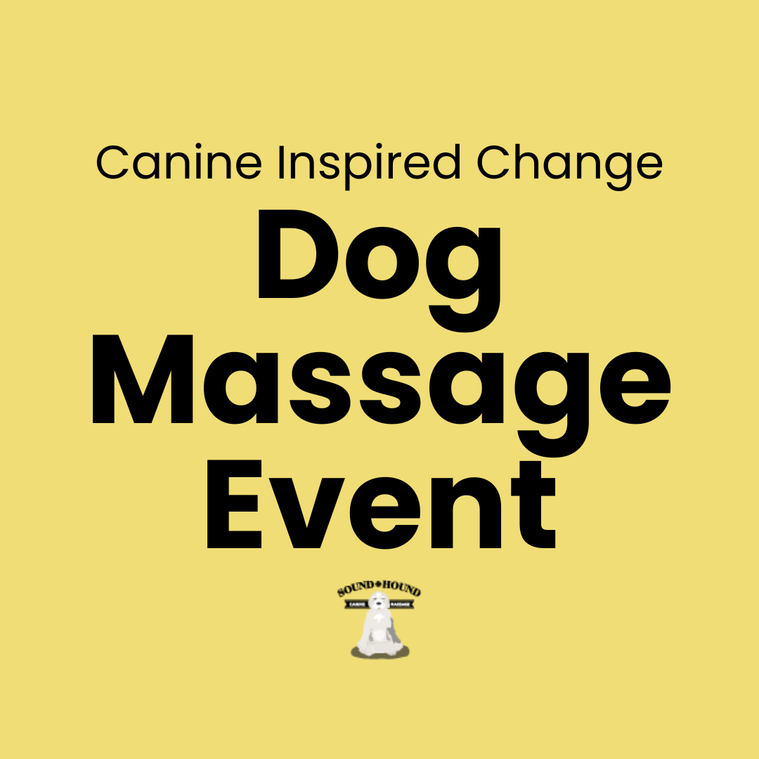 Dog Massage Event February 15th 2026