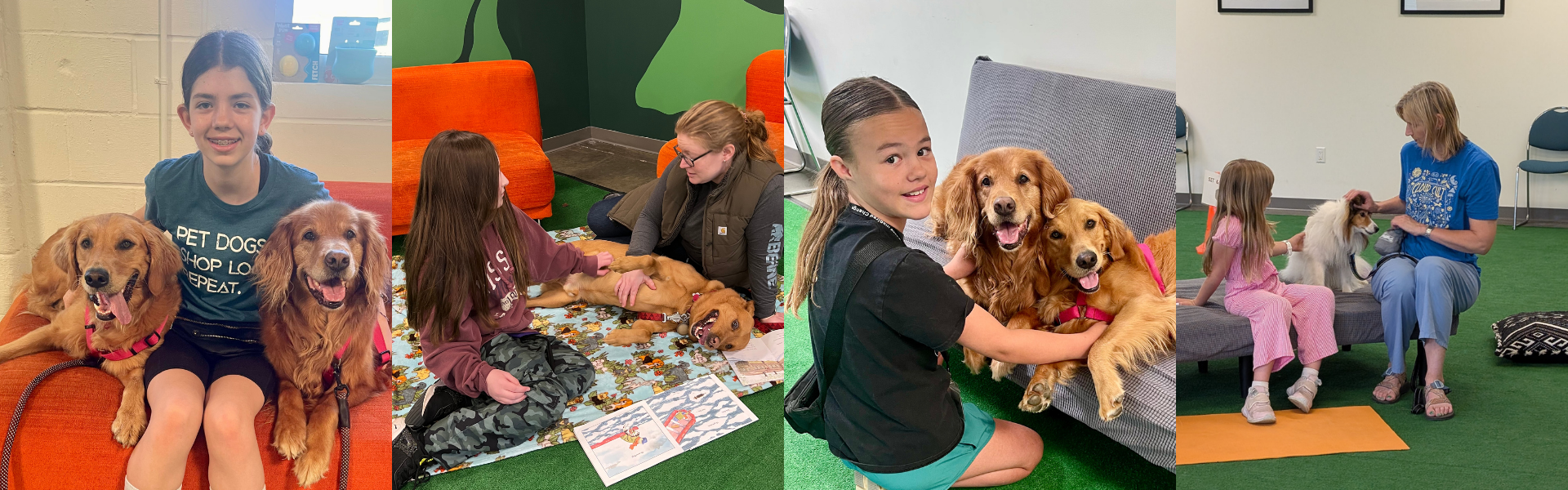 Youth Volunteering — Canine Inspired Change