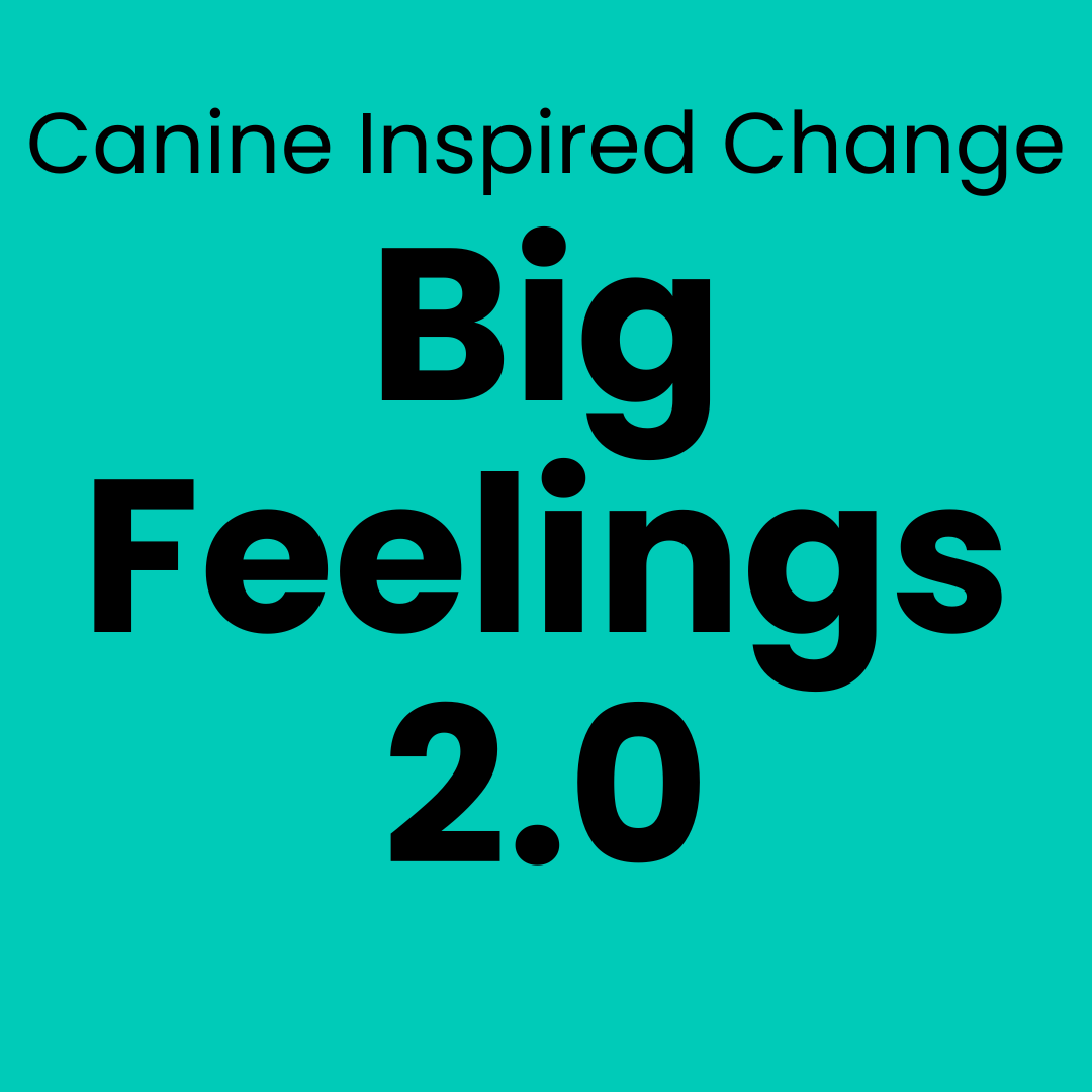 Big Feelings Class (1).png