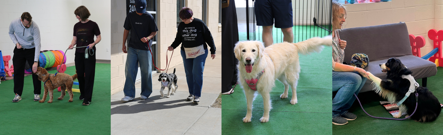 Foundational Skills Class | Canine Inspired Change – Dog Training Twin ...