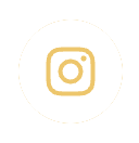 Open Palm City Instagram in a new tab