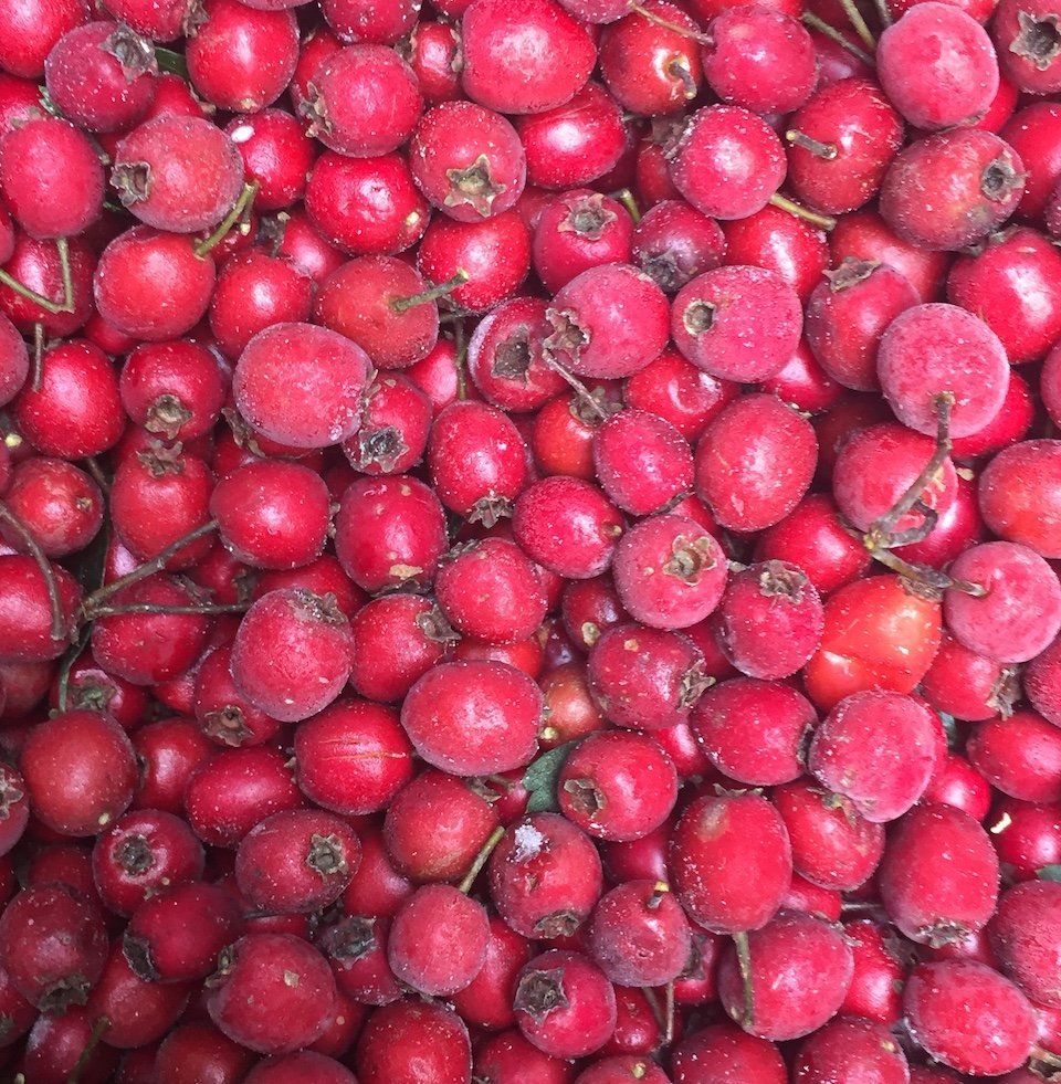 close up of frozen berries mini.jpeg