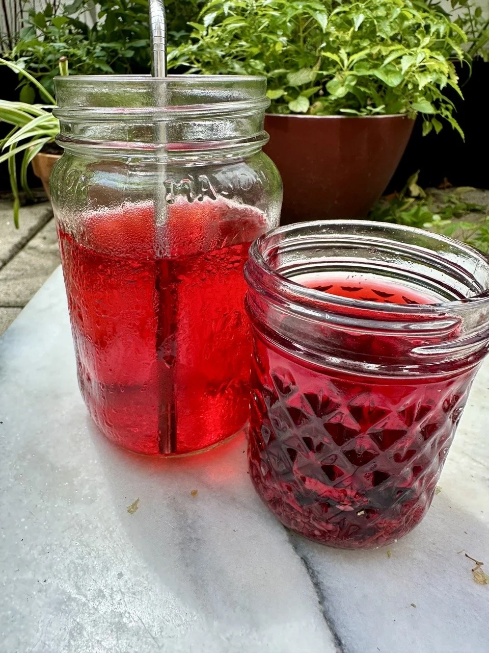 tea and jar.jpeg