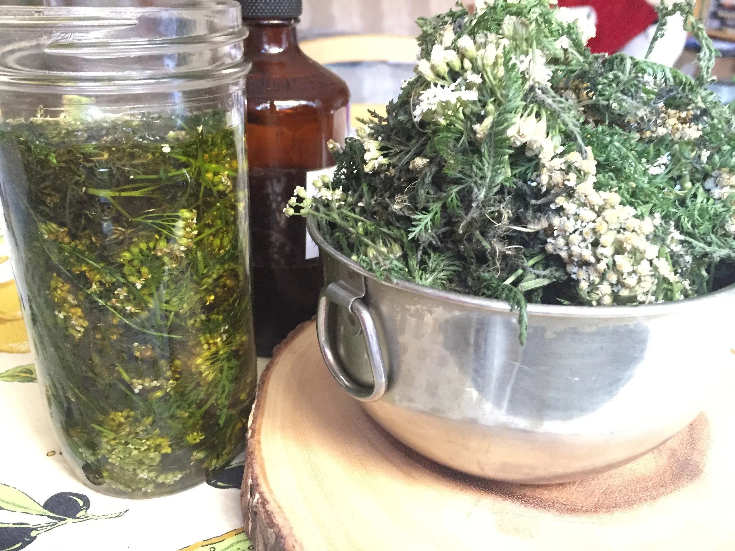 Herbal Salves &amp; Creams For Winter Skincare