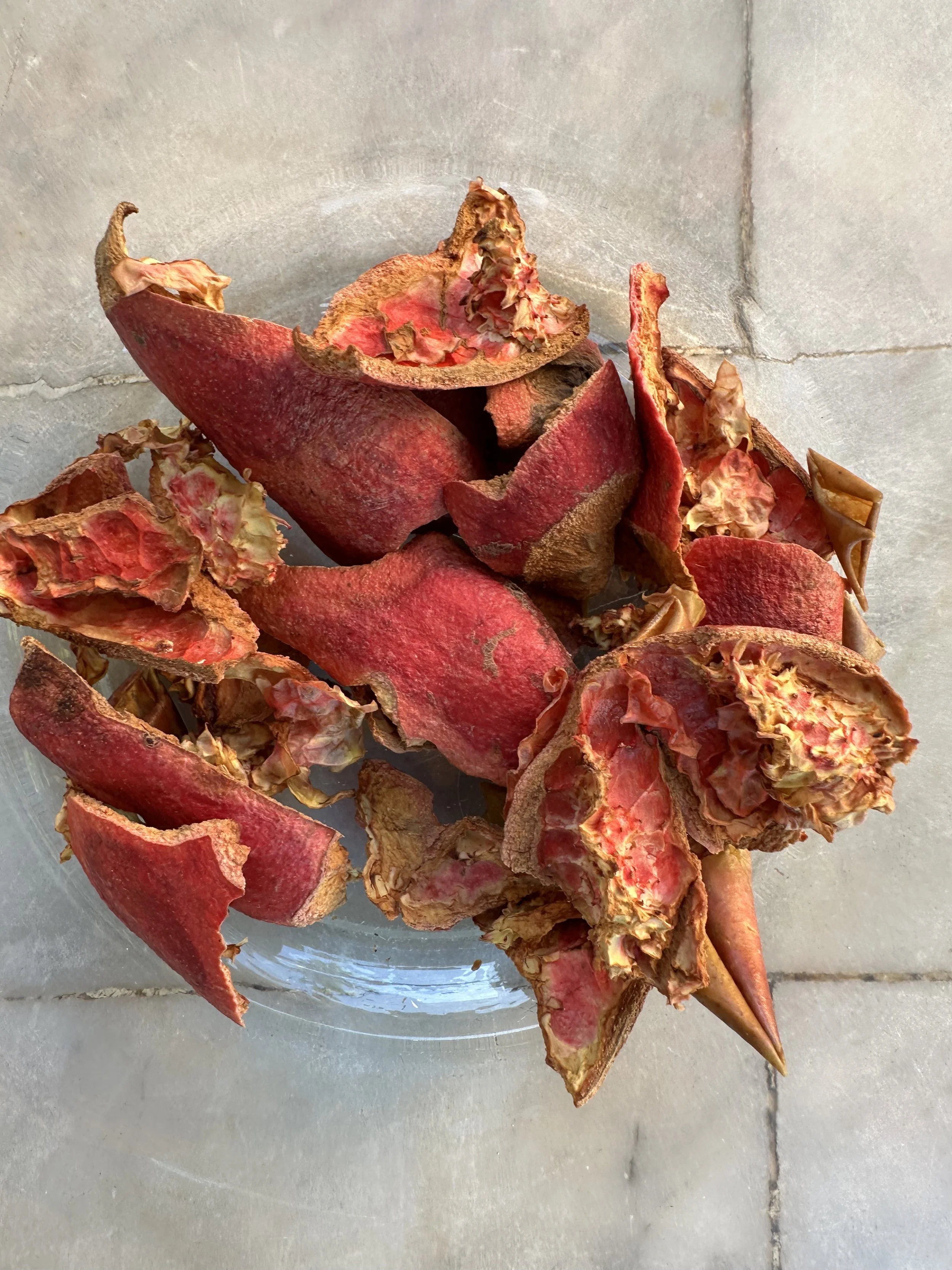 Dehydrated Peel &amp; Pith