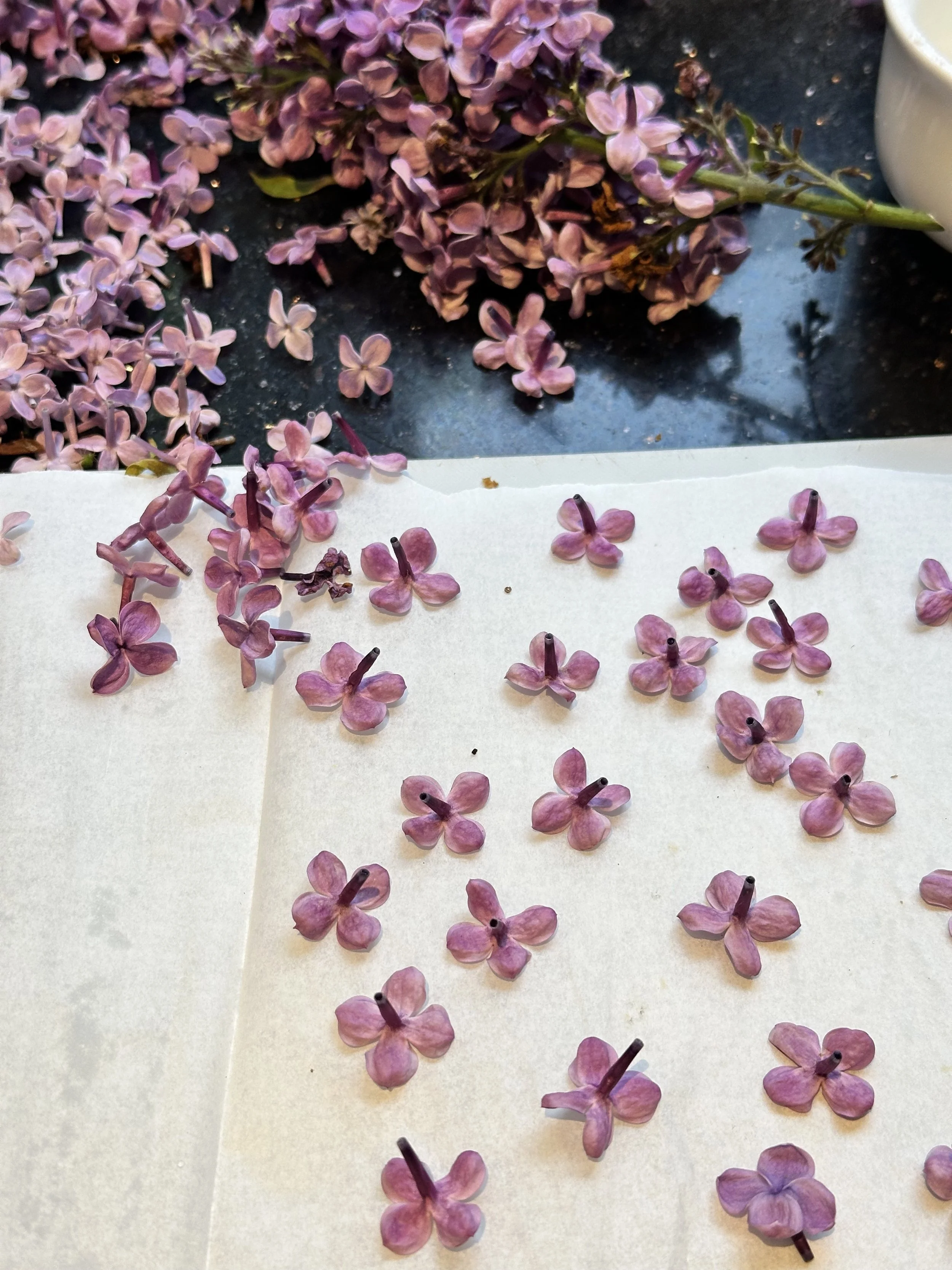 before pressing the blooms