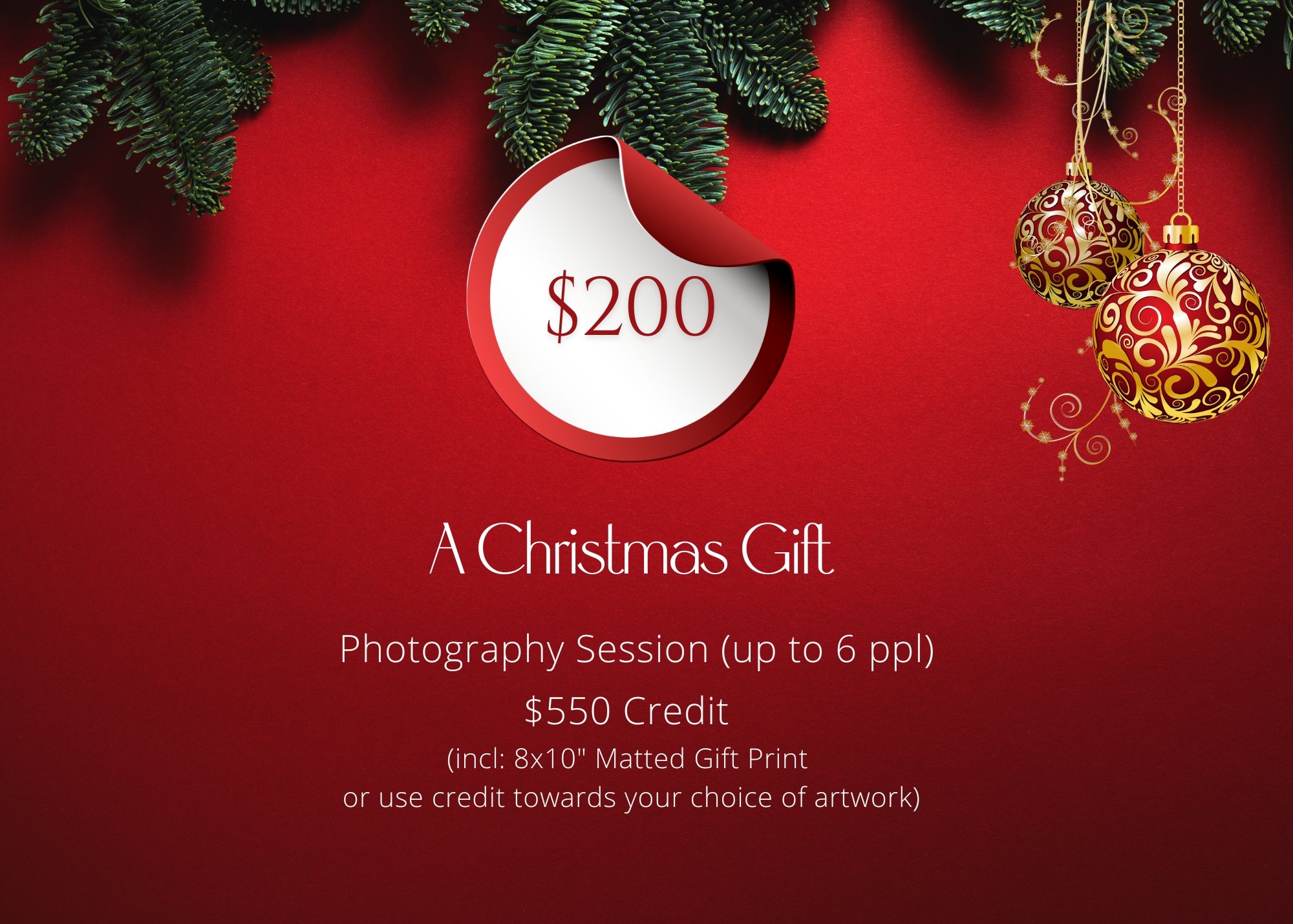 $200 A Christmas Gift - Session and $550 credit.jpg