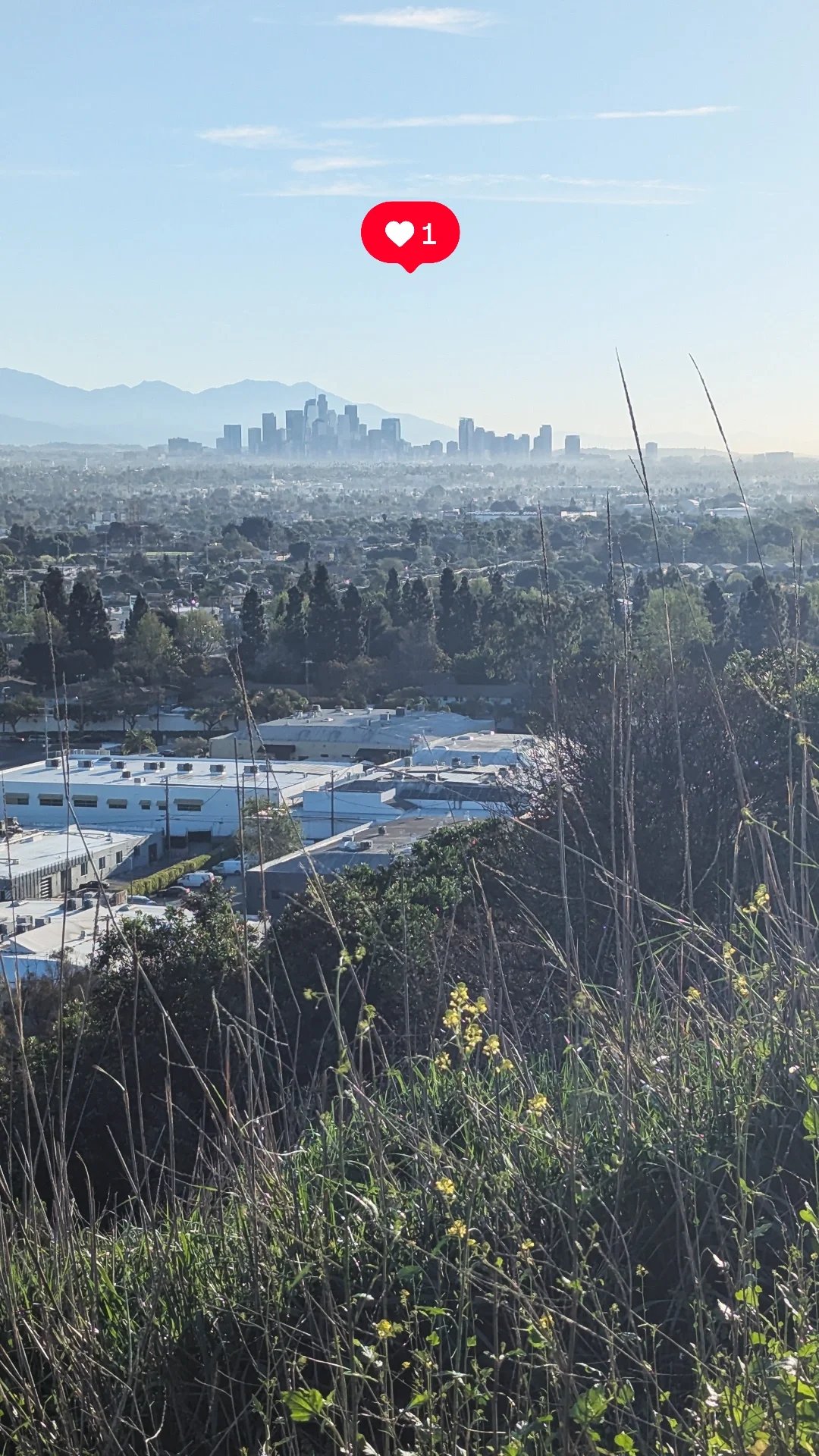 Dating in Los Angeles