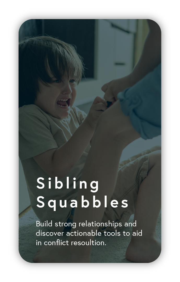 COR Workshops_Sibling Squabbles.png