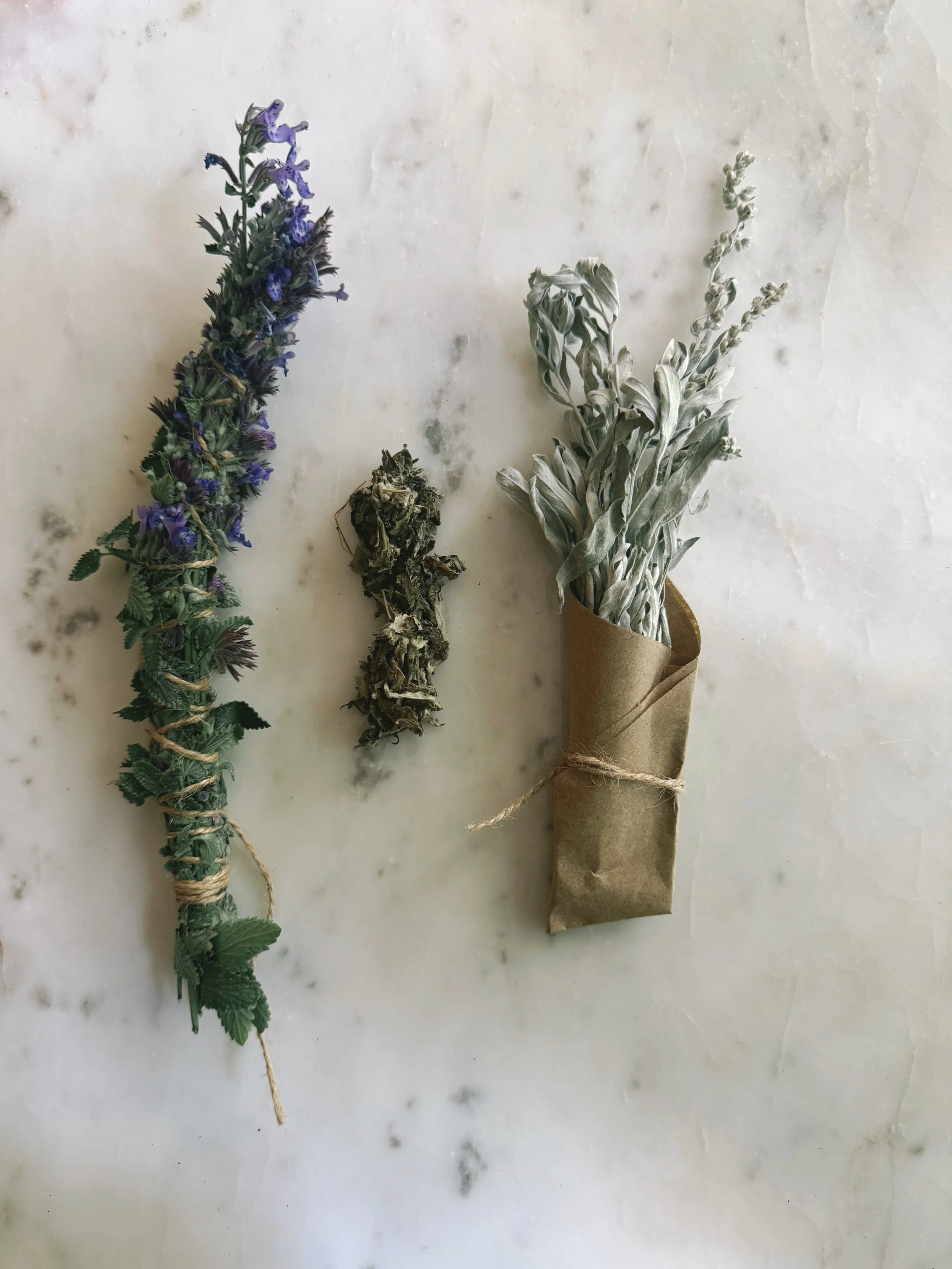 BLACK SAGE - LOOSE