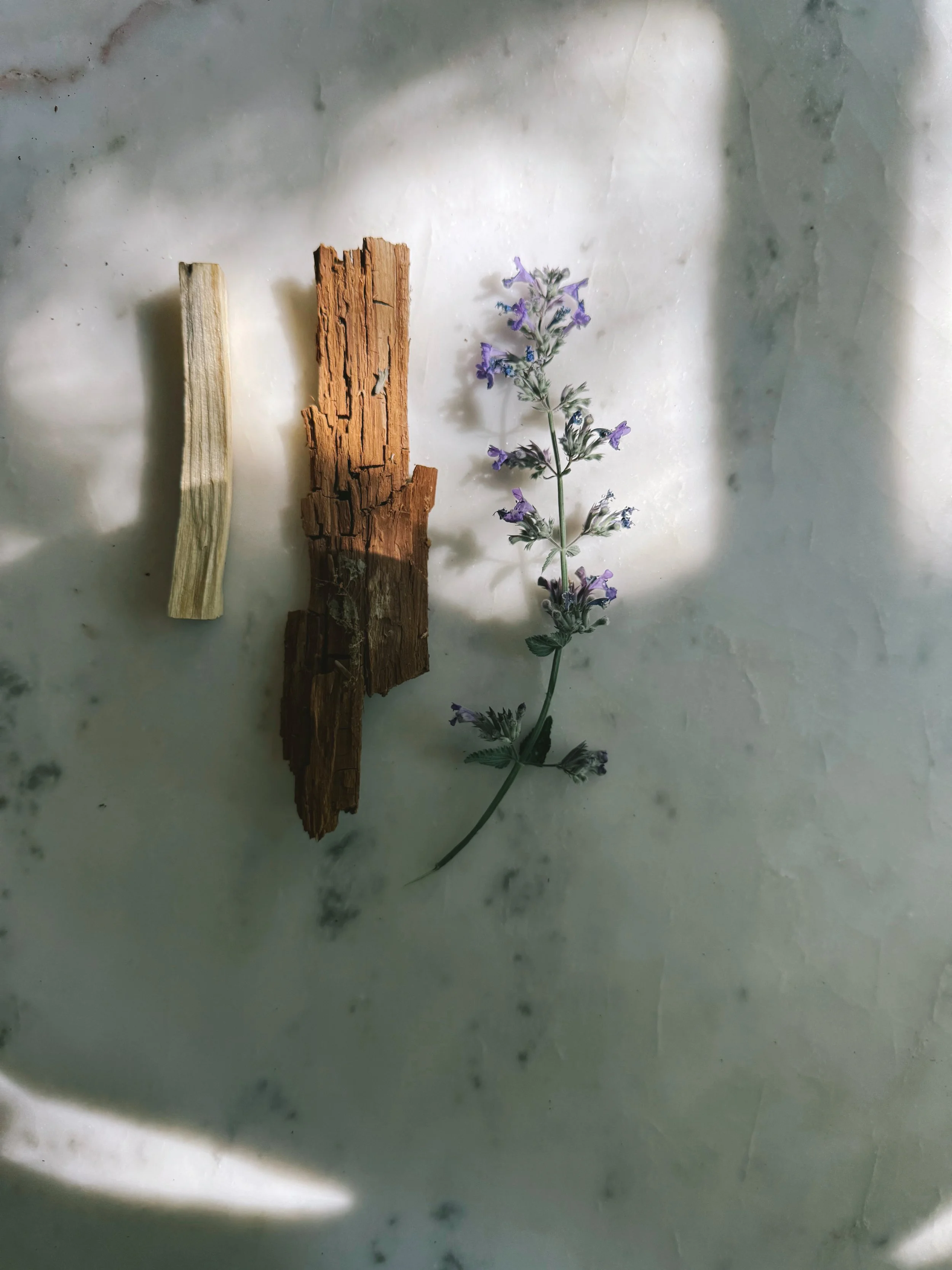 BLUE SAGE - LOOSE