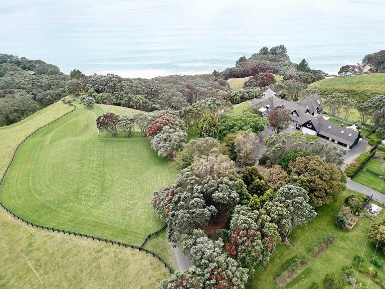 Hillbrook estate offers a truly exceptional experience, highlighted by a leisurely walk through the enchanting Pohutukawa forest, leading to a secluded beach adorned with pristine white sand. Here, one can immerse themselves in the wonders of nature,