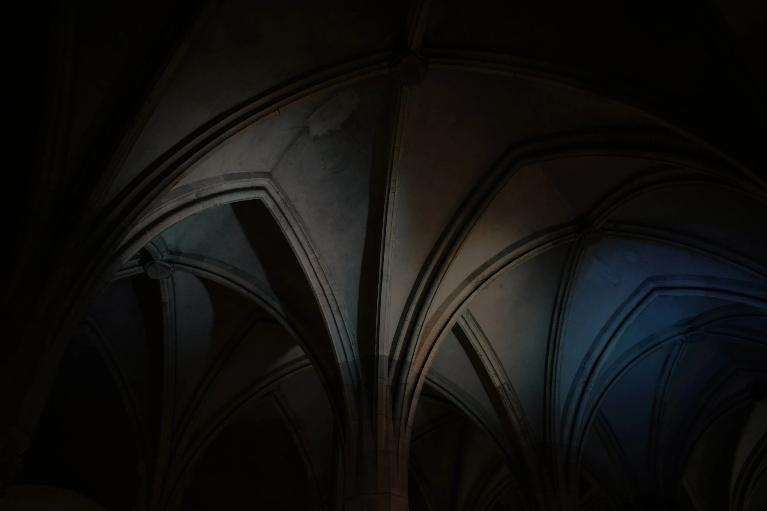 stefan-cosma-r0QJpbYxuRc-unsplash3.jpg