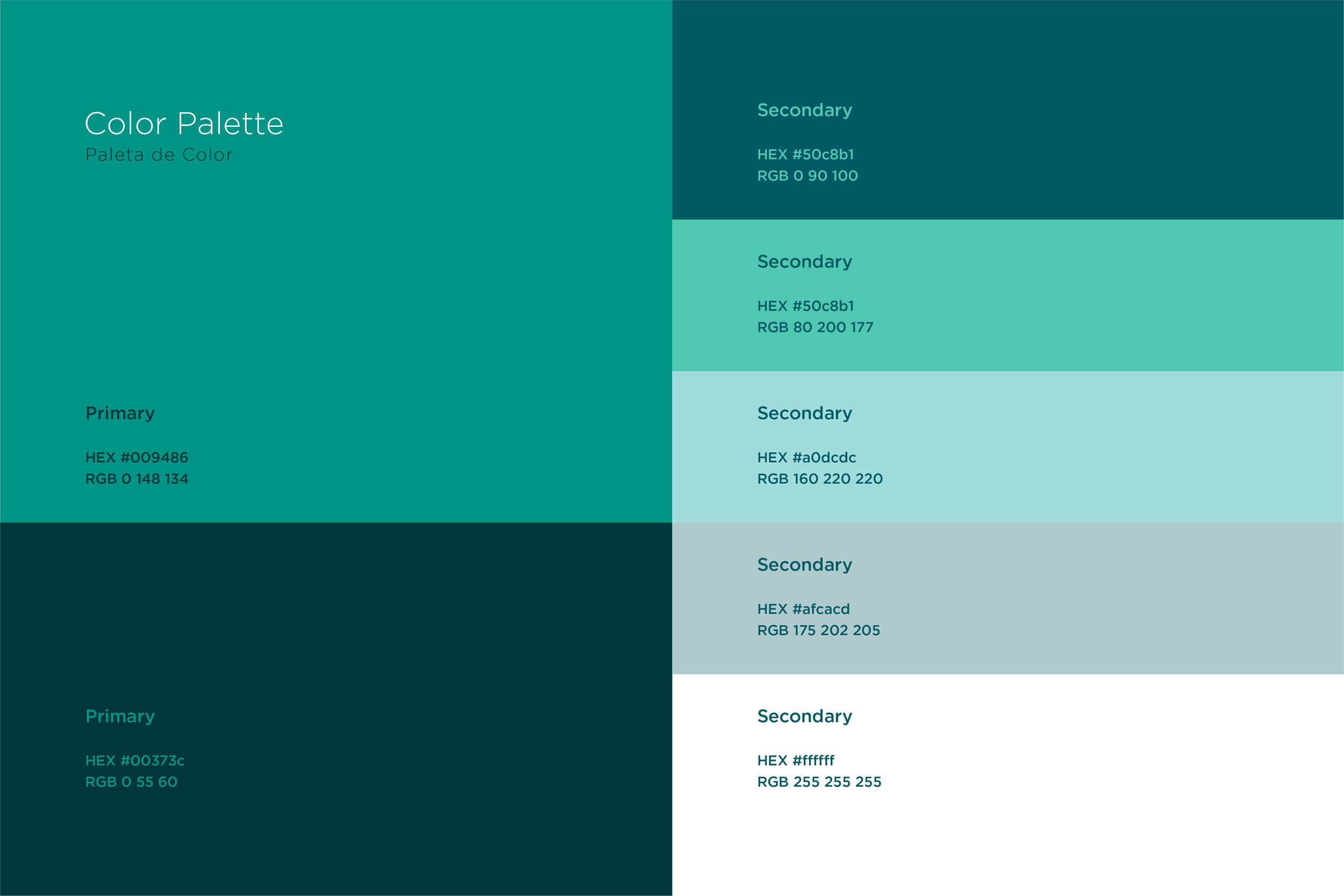 Color Palette