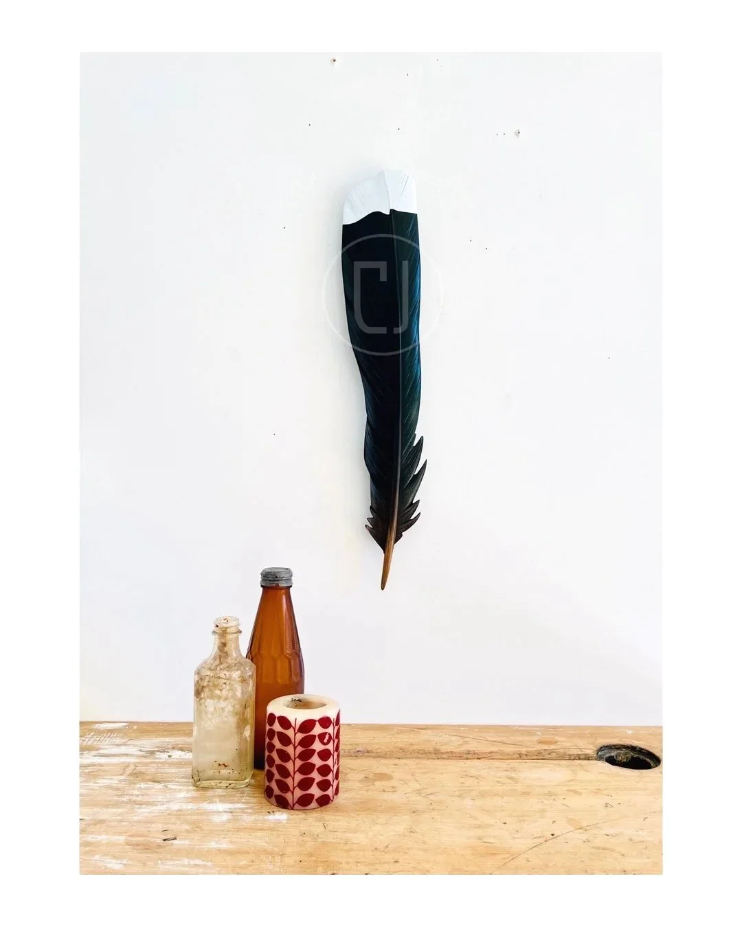 huia art by claire jensen