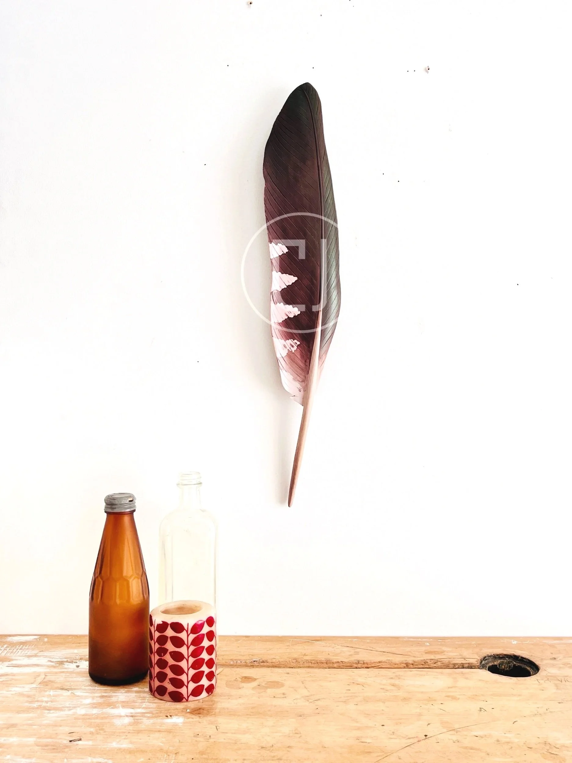 kaka wall art by claire jensen opunake