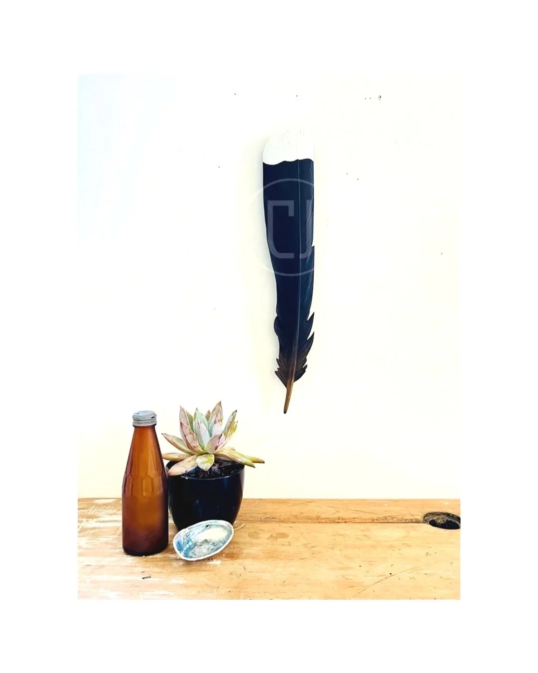 Matai Huia Feather Art- 41cm