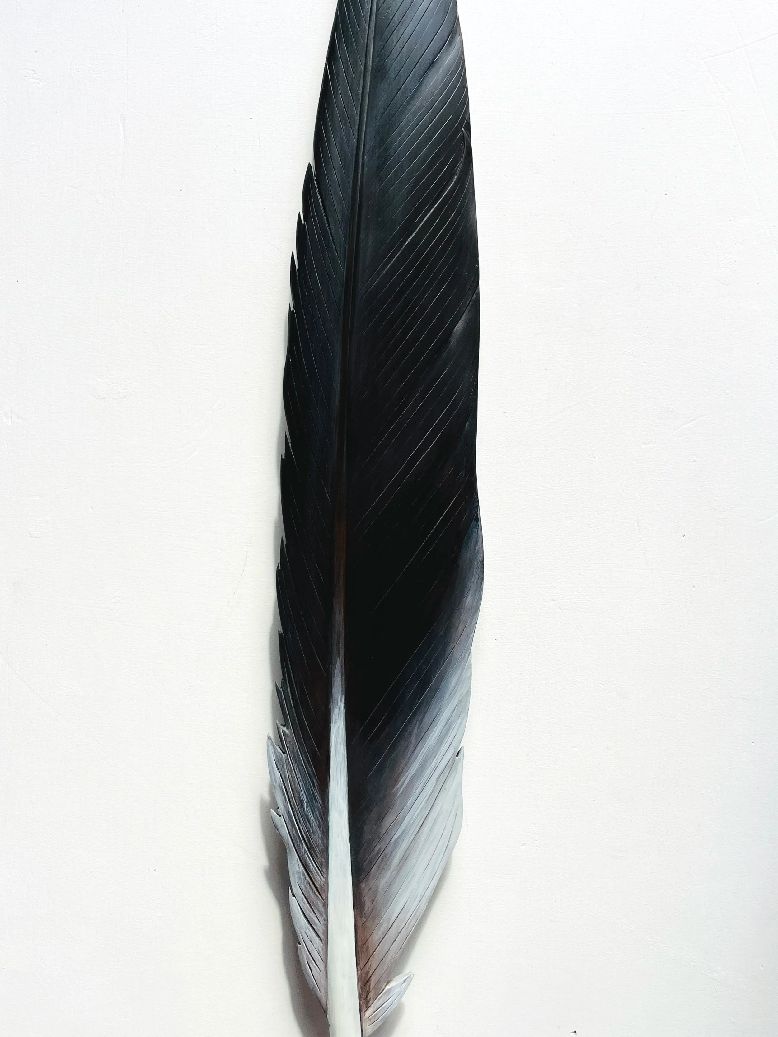 detail+of+cormorant+feather+art+by+claire+jensen+NZ.jpg