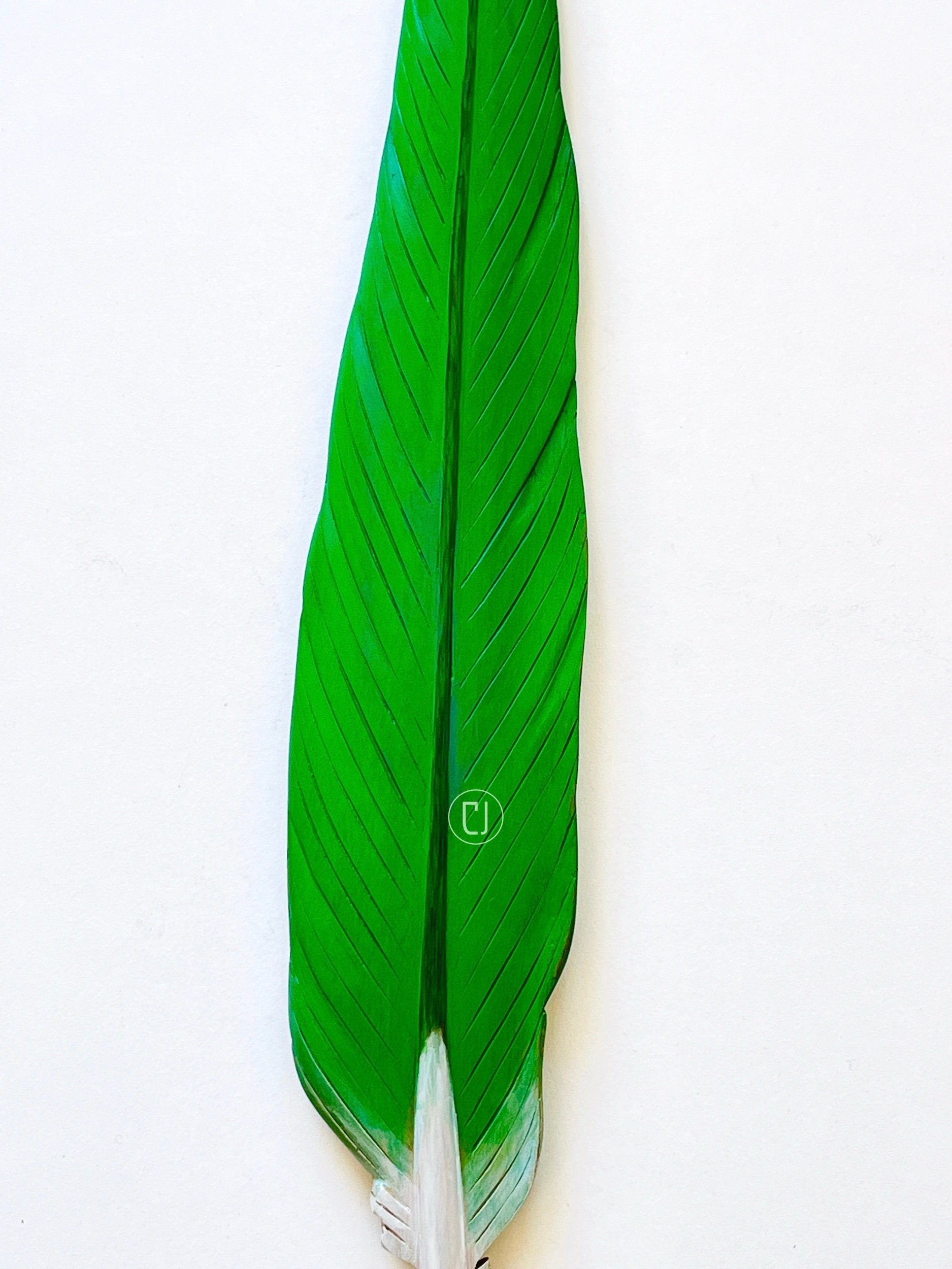 Green parrot tail feather carving made in New Zealand.