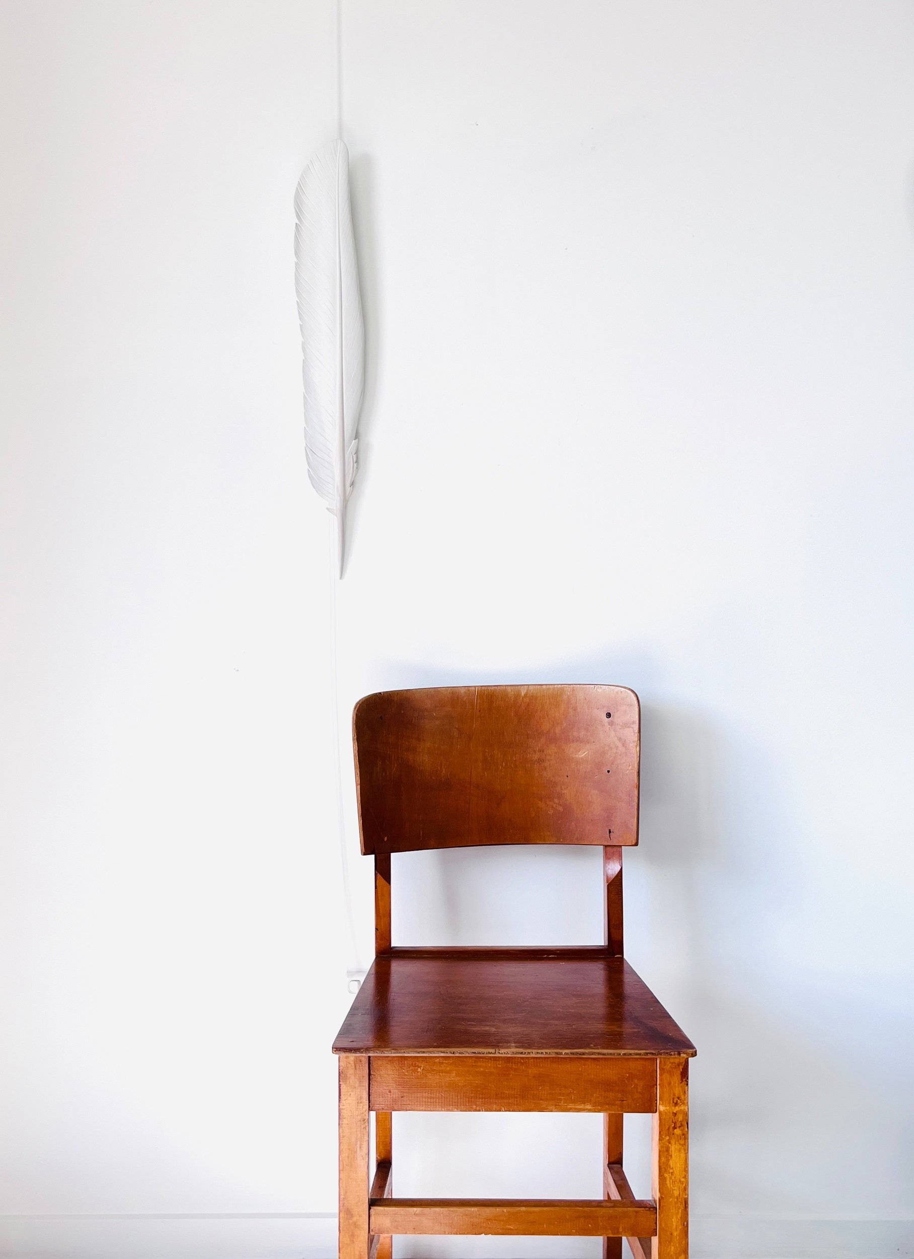 Ardea modesta feather art.jpeg