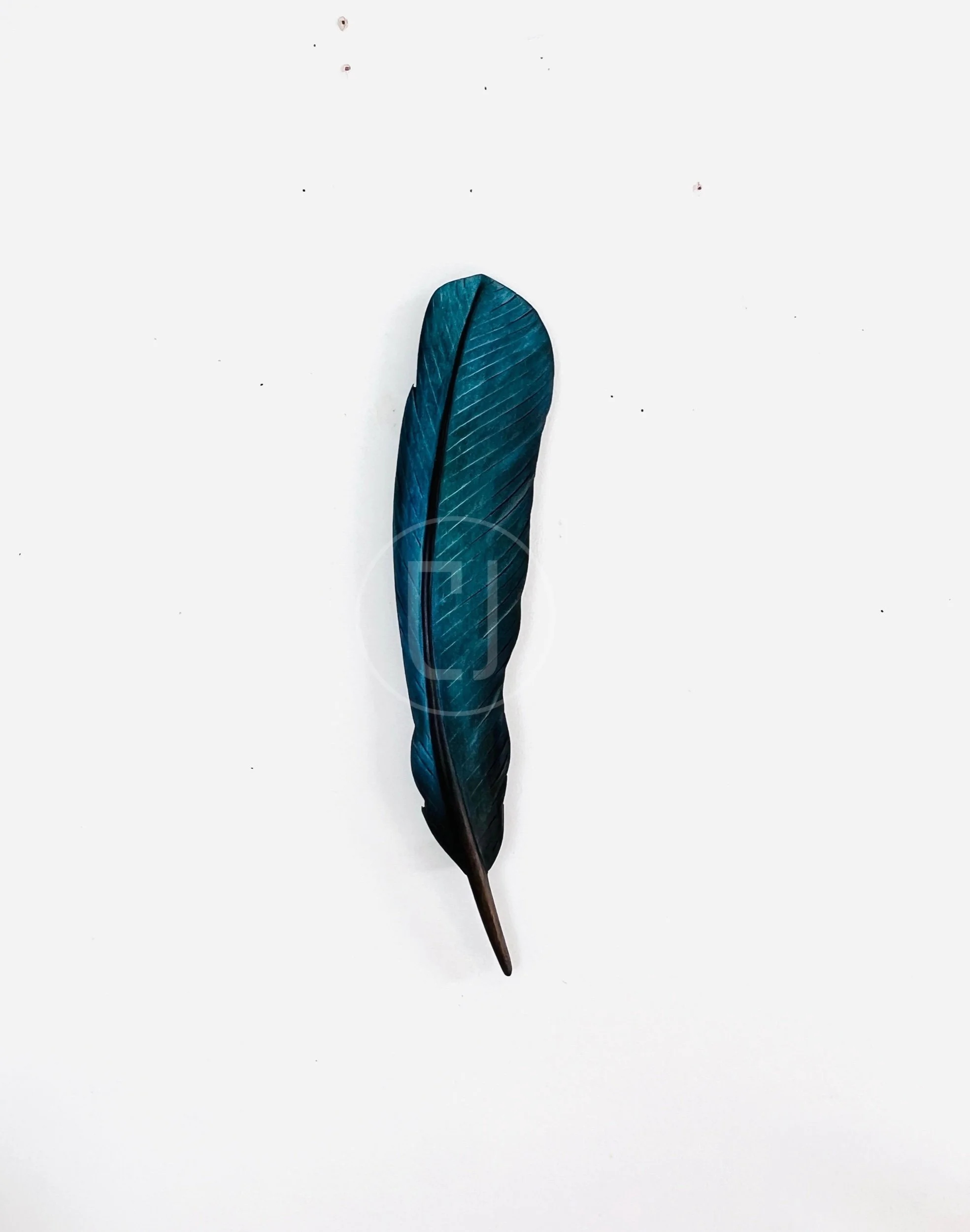 Individually hand carved tui feather art made in Taranaki by Claire Jensen.