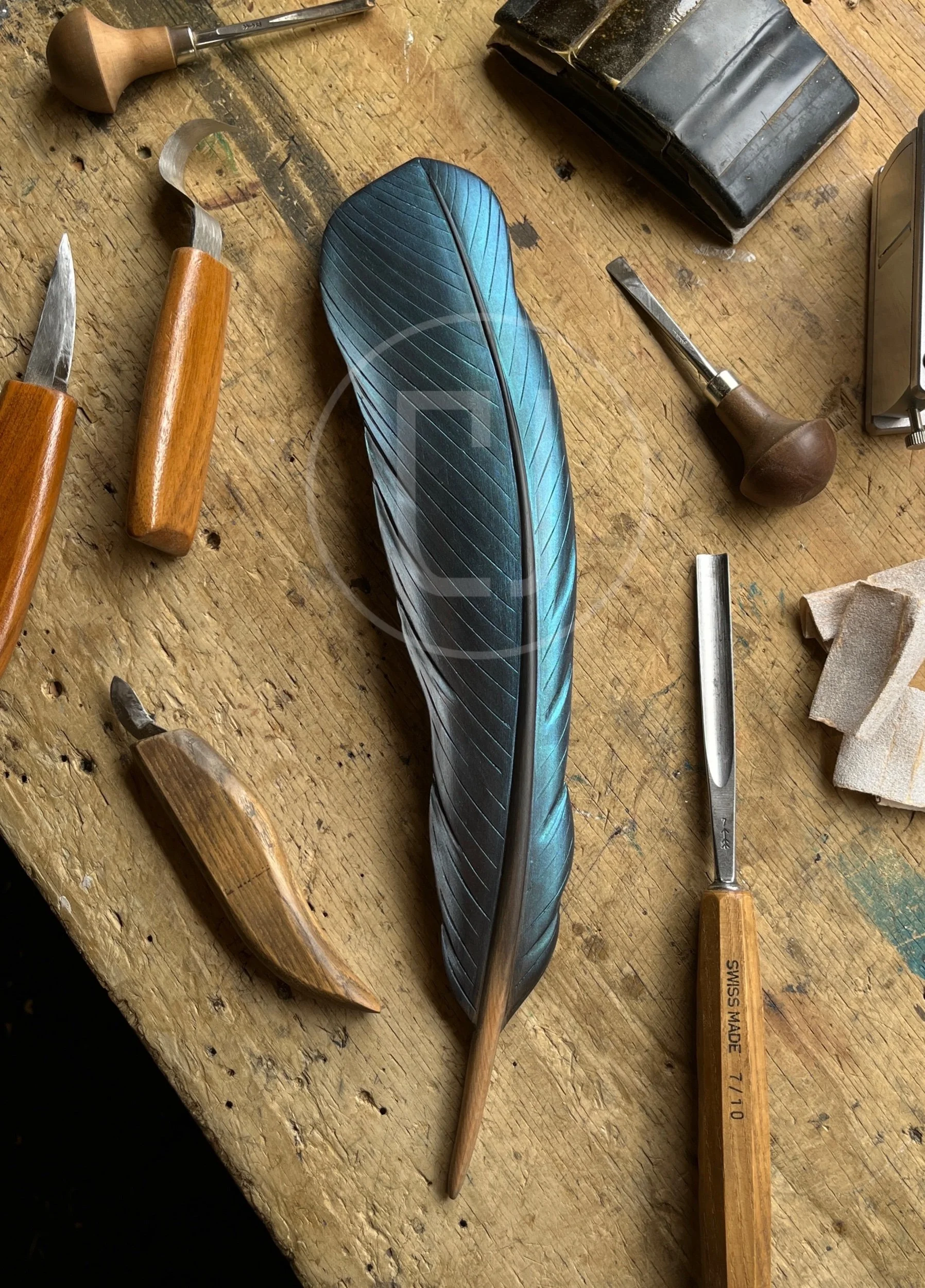 Matai Tūī Wing Feather Art- 38cm