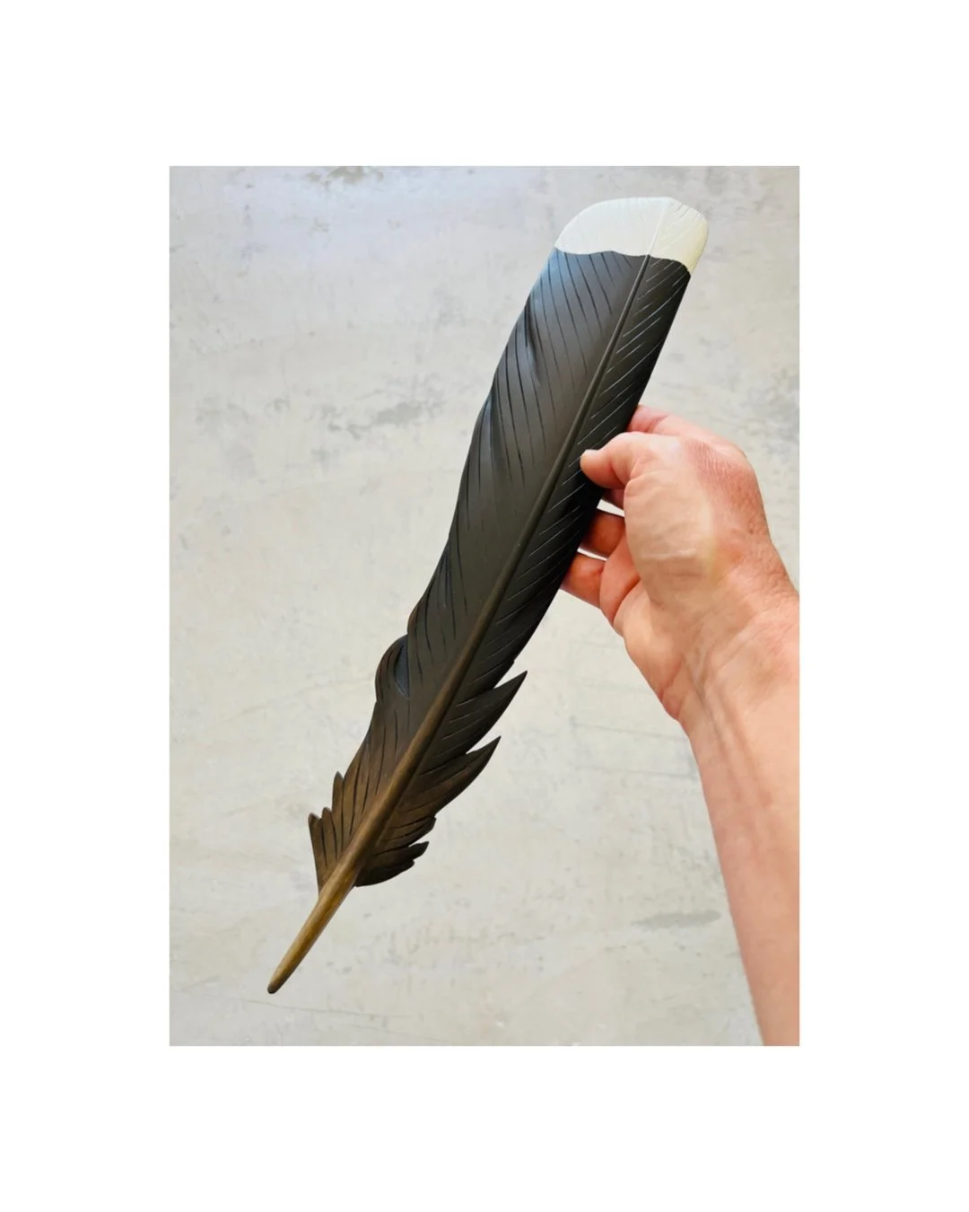 huia feather art by claire jensen aotearoa