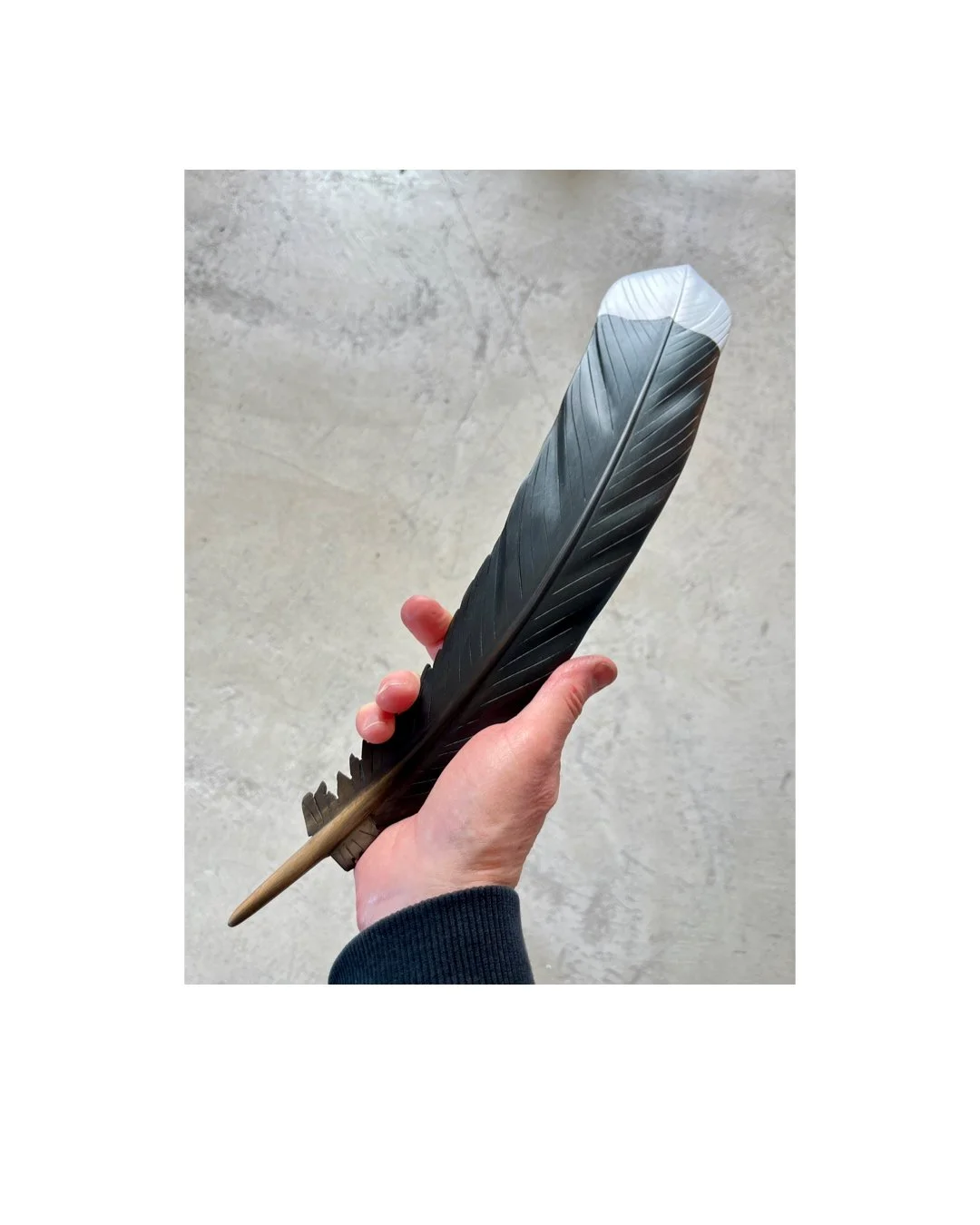 huia feather art by Claire Jensen New Zealand