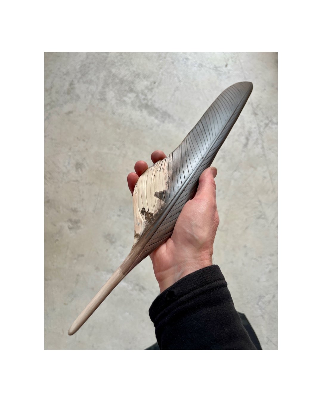 kahu harrier hawk art by claire jensen