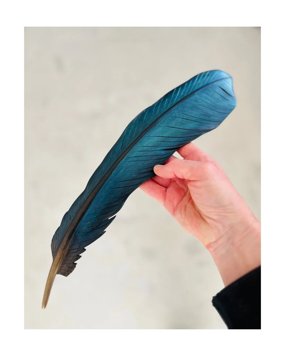 tui art