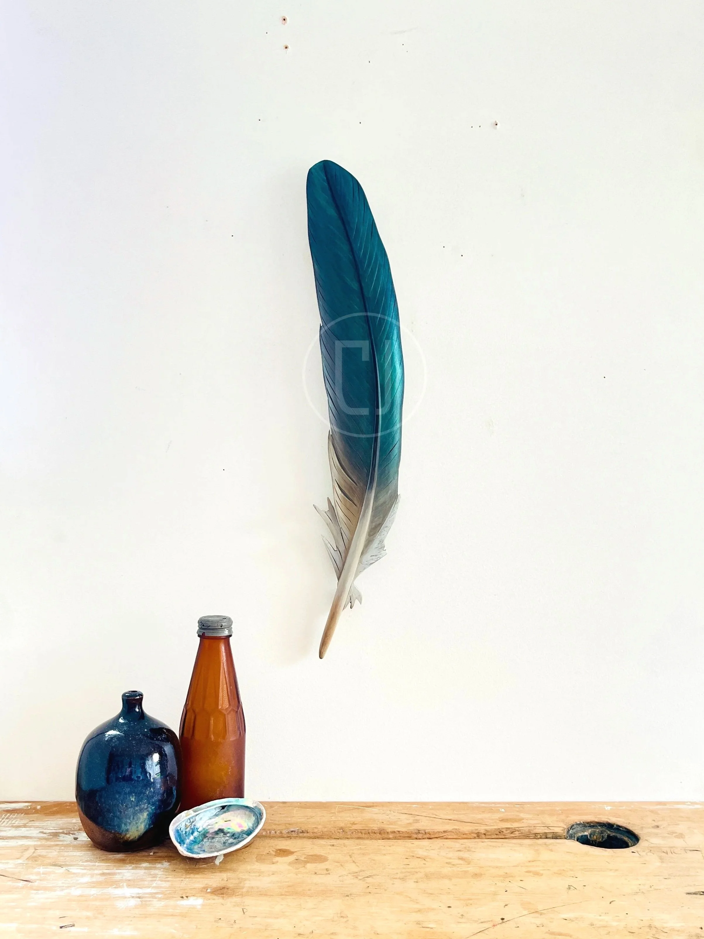 claire-jensen-carved-kereru-feather-art.jpg