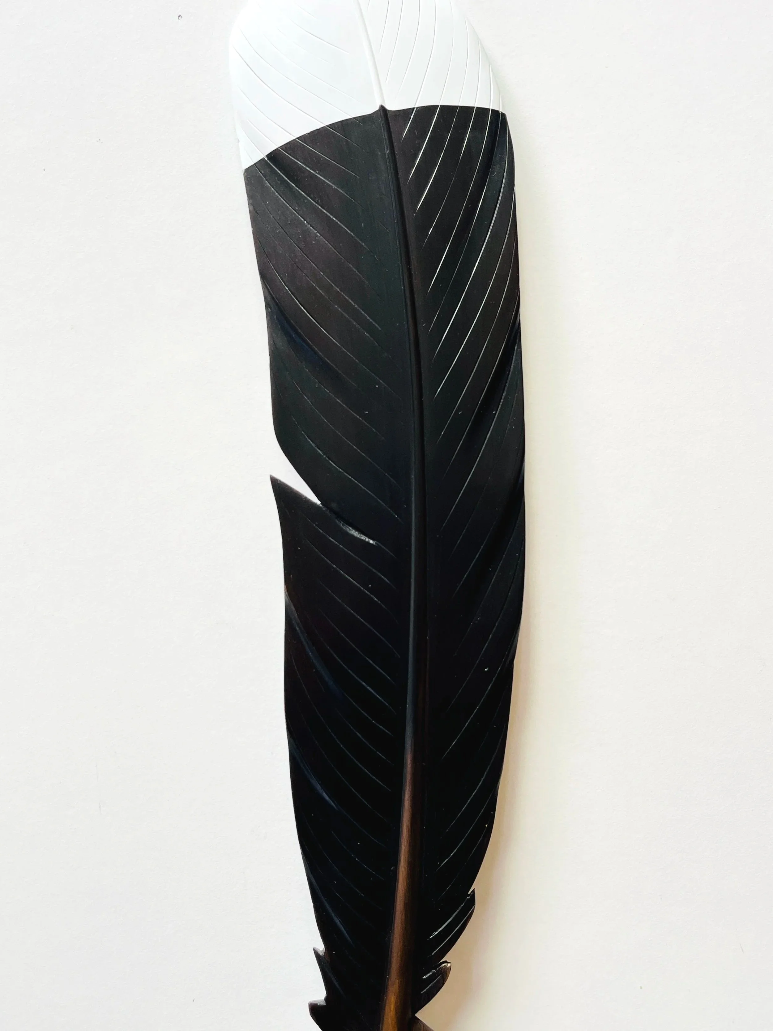 detail+huia+art+by+claire+jensen.jpg