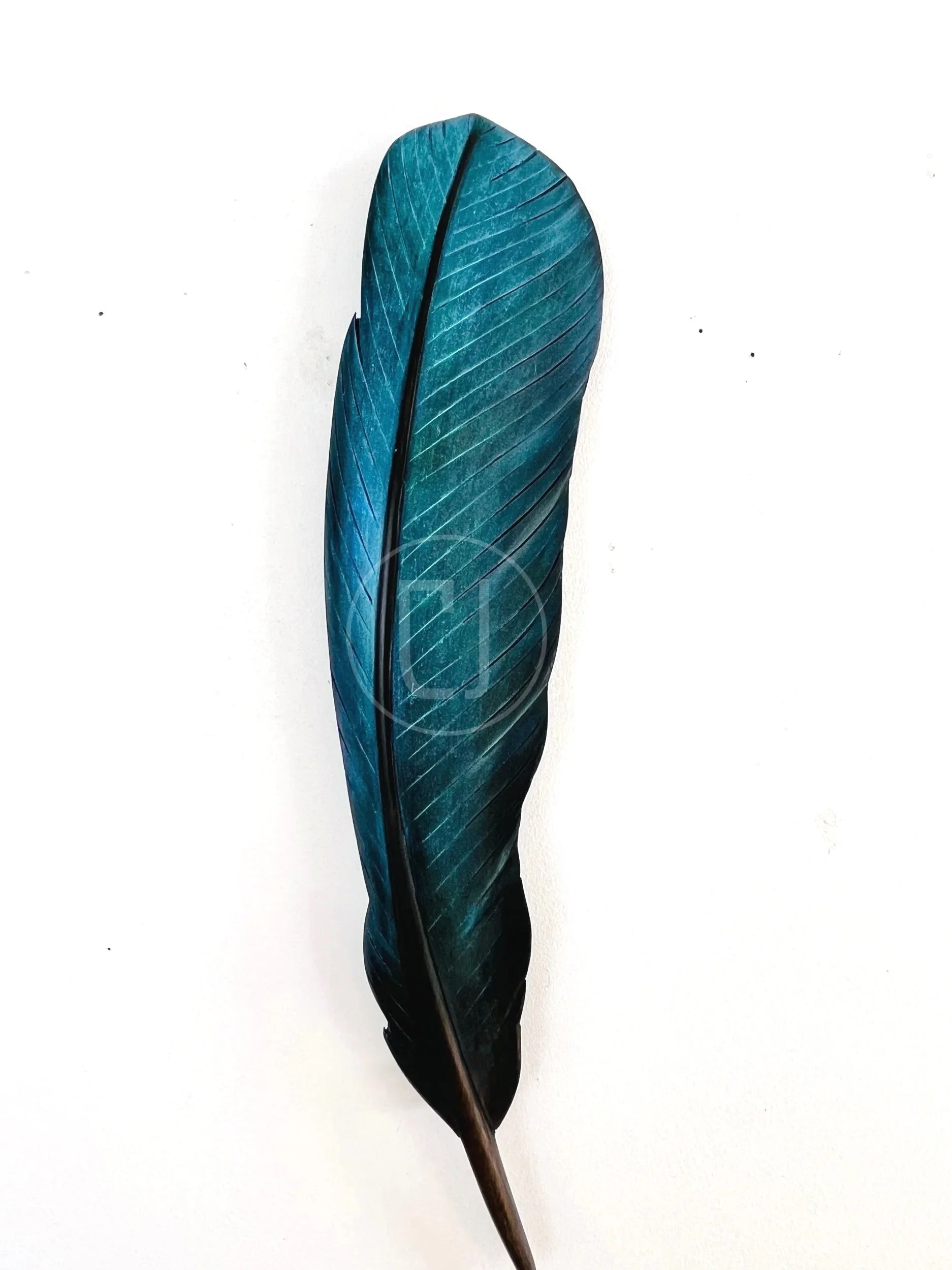 tui+wing+feather+art+by+claire+jensen+opunake.jpg