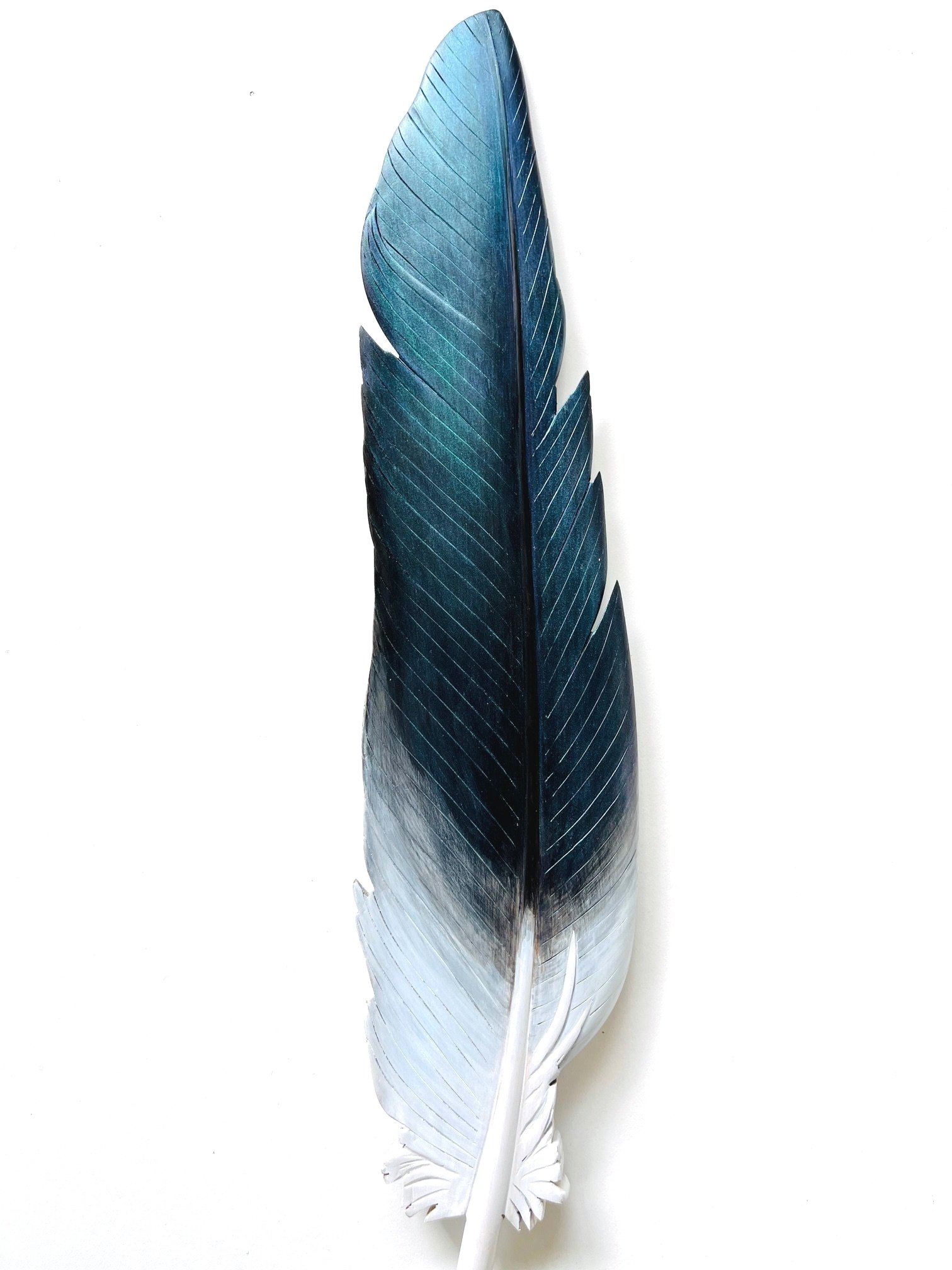iridescent purple green wood pigeon feather wall art for NZ decor or gift, Made in NZ by Claire Jensen.