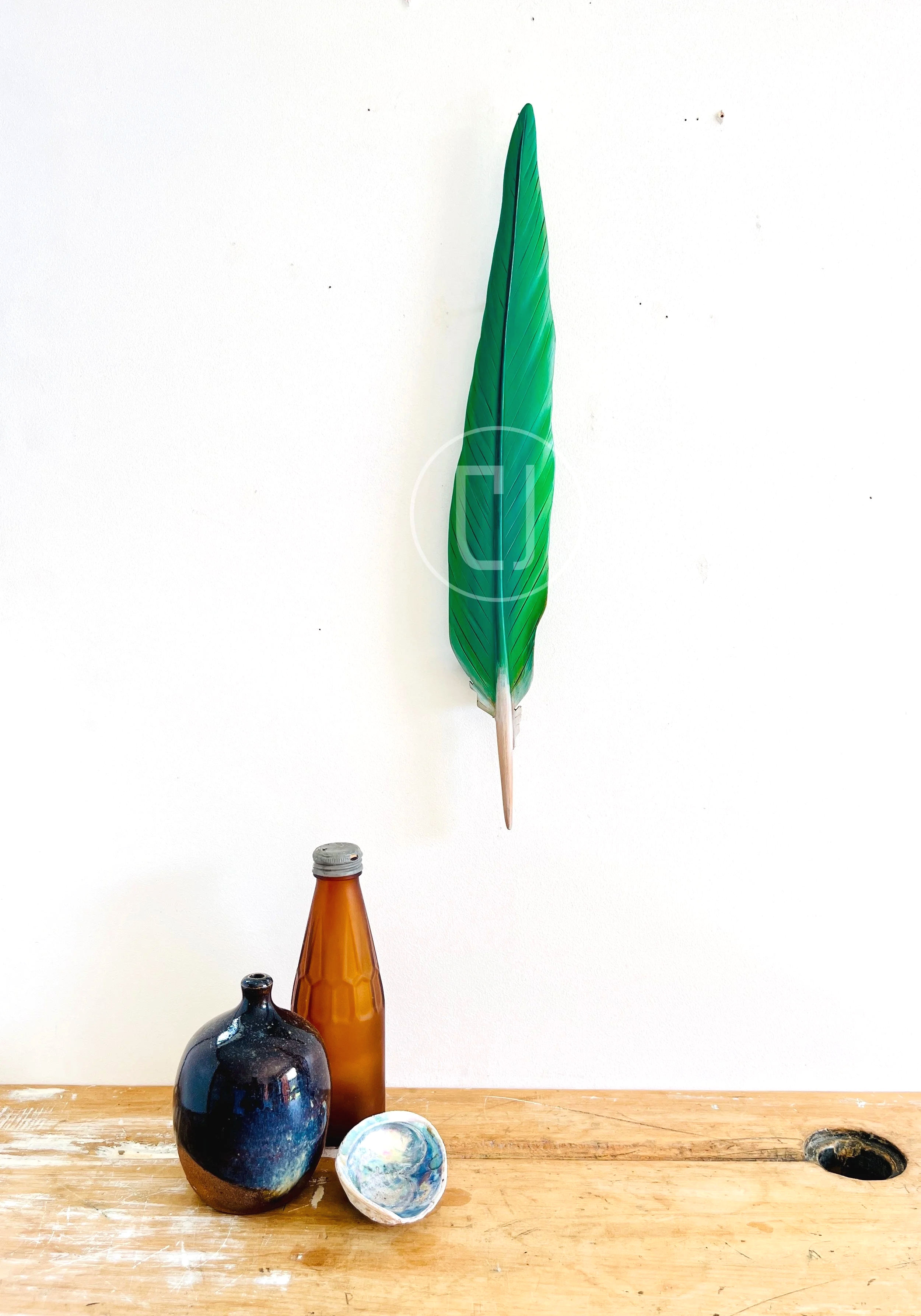 Kākāriki Tail Feather Art in Rimu 42cm