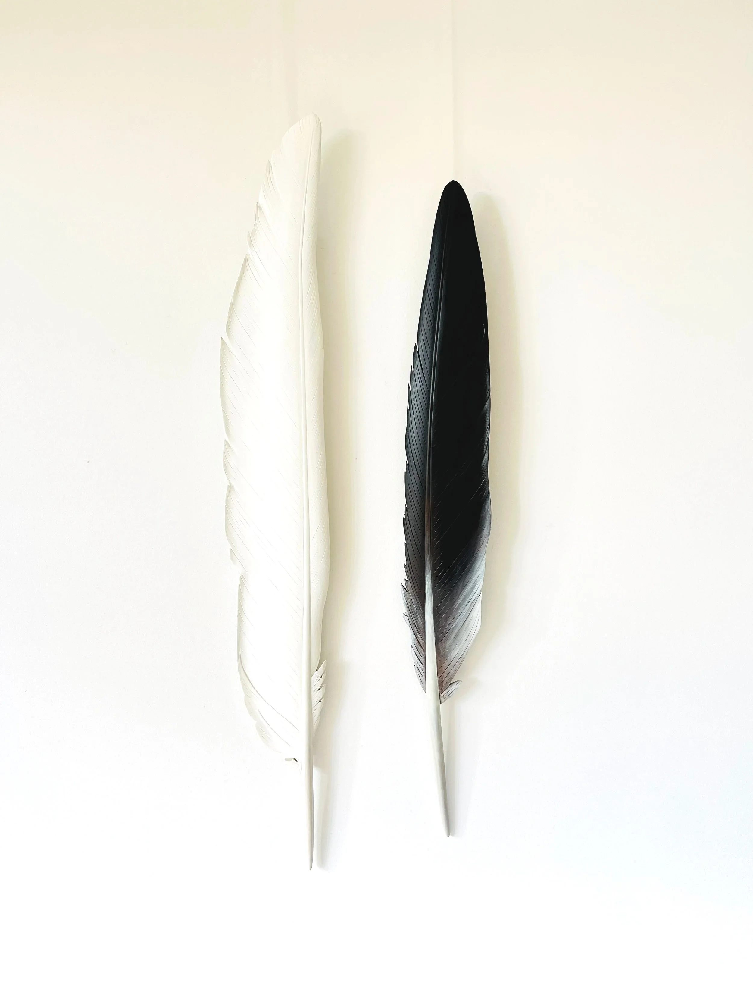 kotuku+and+kawau+feather+art+by+claire+jensen.jpg