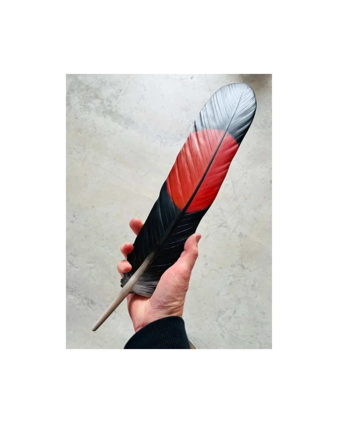 black cockatoo feather art by claire jensen new zealand
