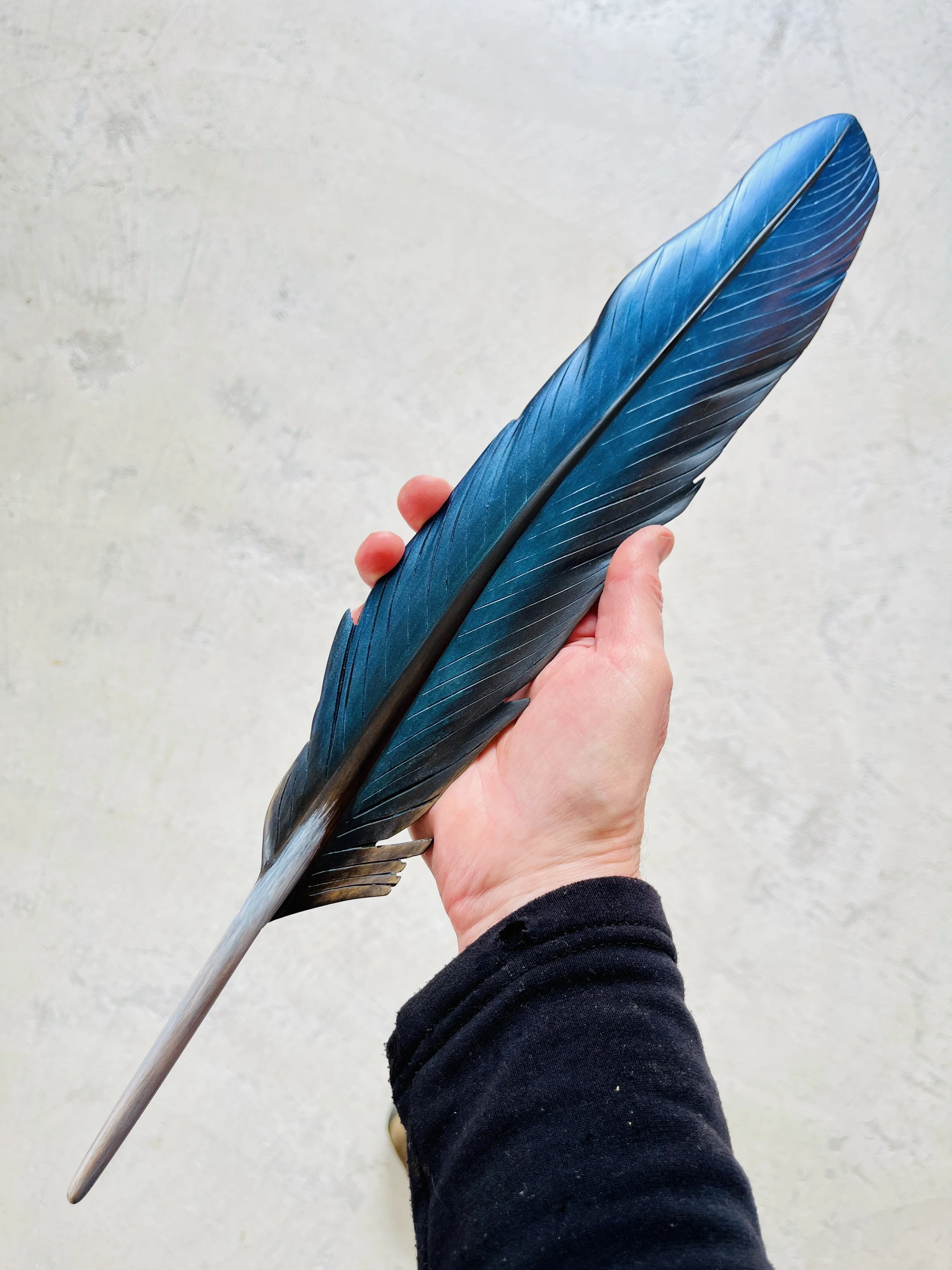 kotare feather art made in opunake by claire jensen.jpg