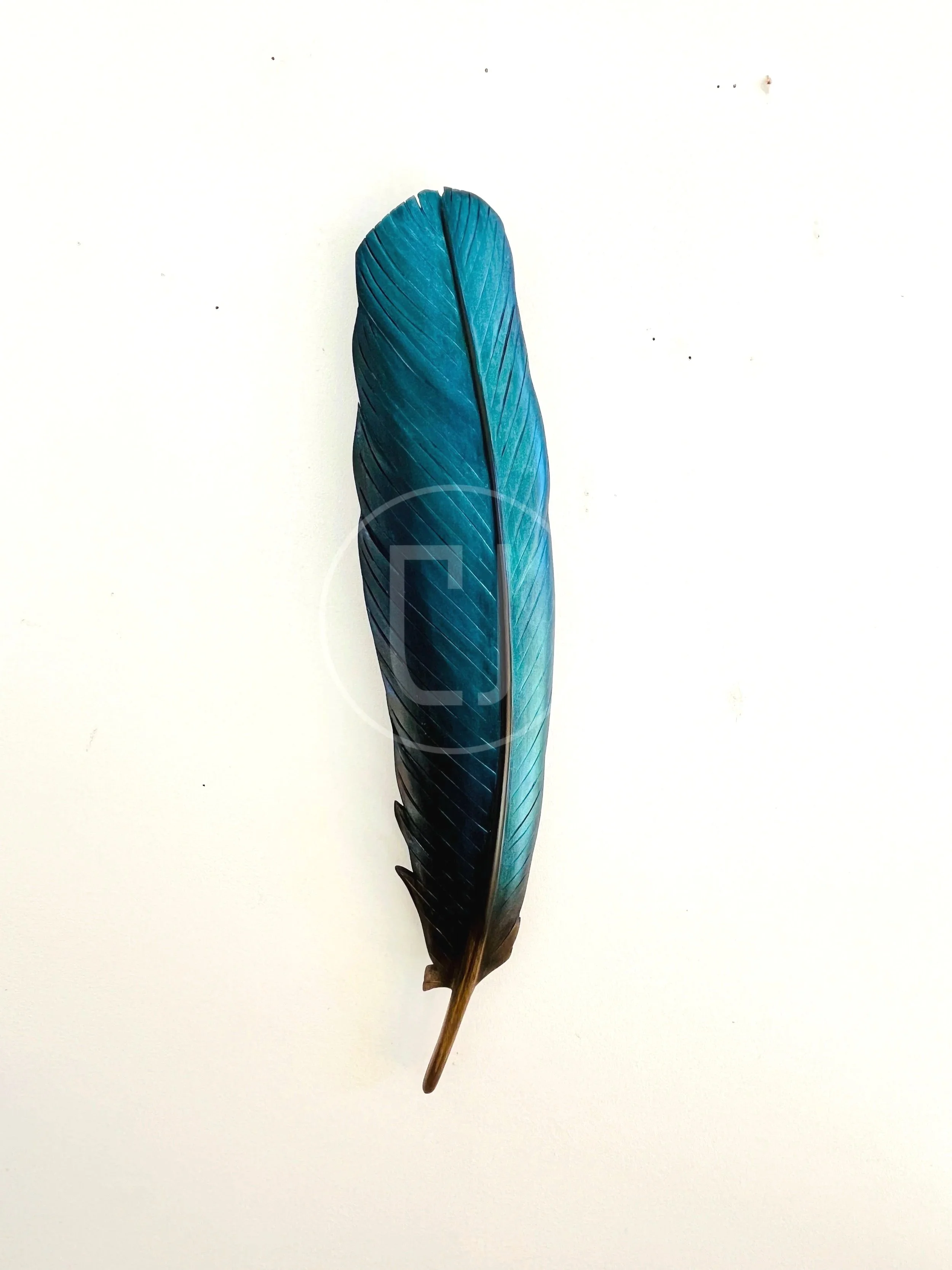 tui-wing-feather-art-claire-jensen.jpg
