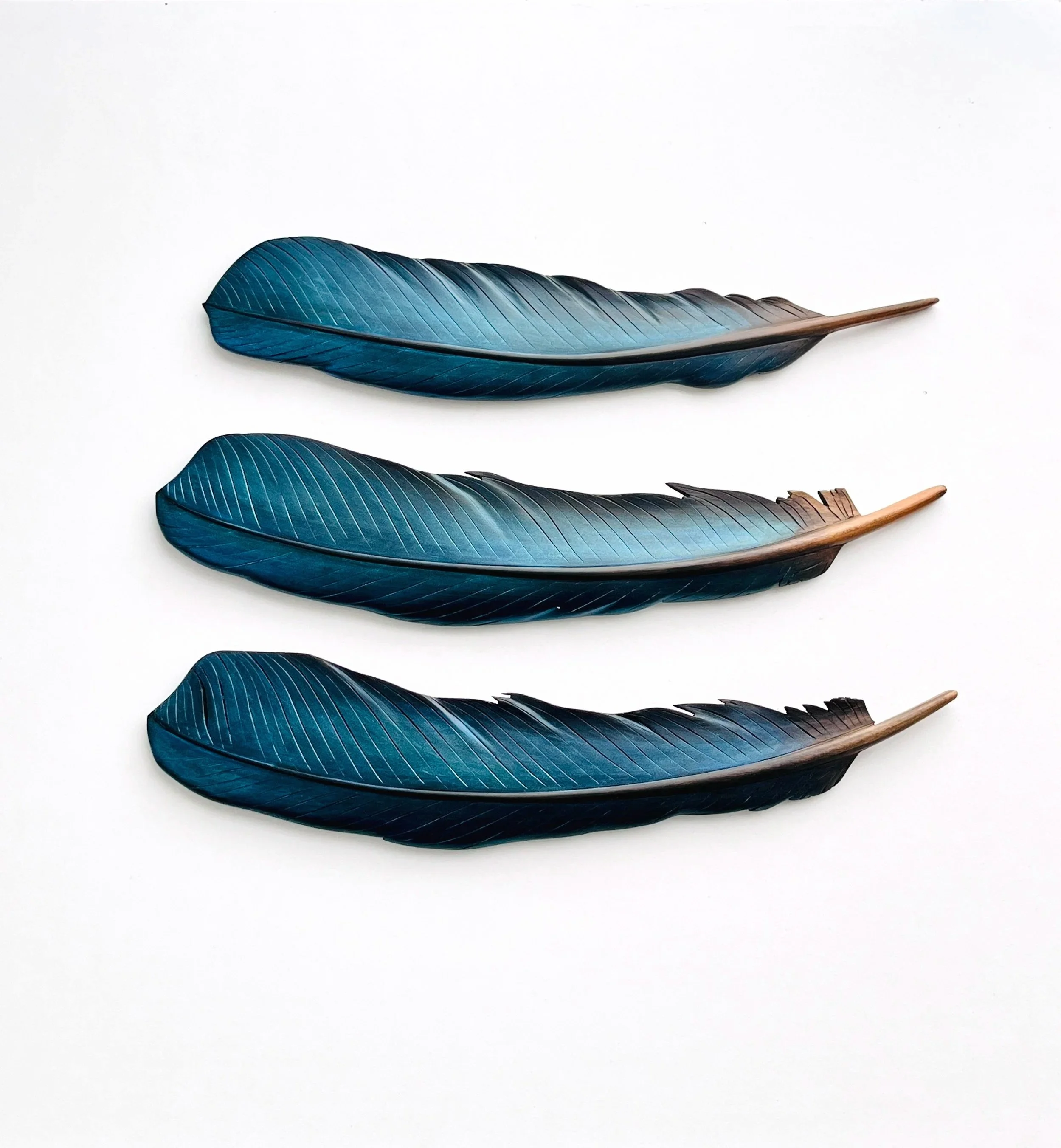 iridescent blue green tui feather wall art carvings by claire jensen the brown bach studio opunake