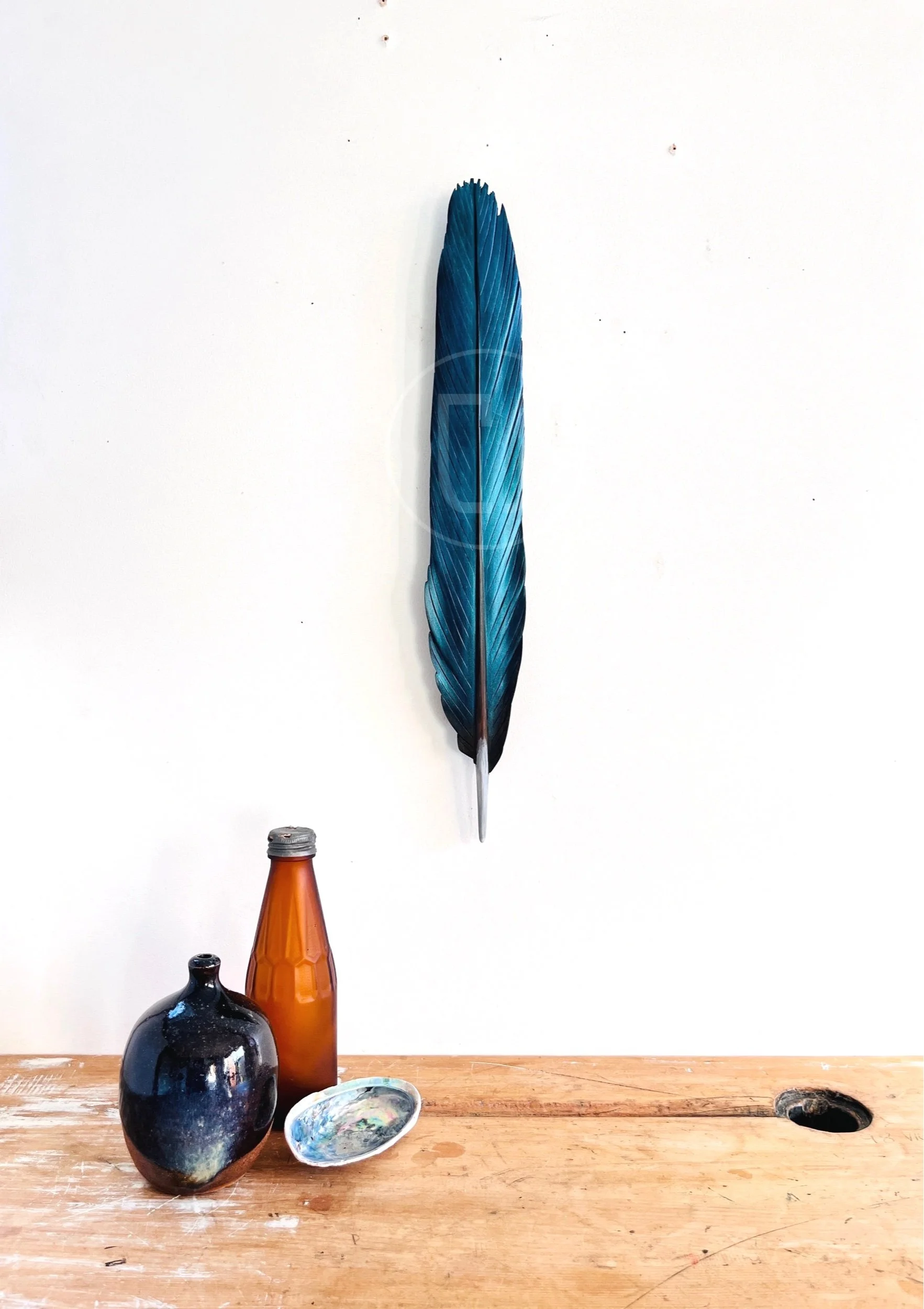 sacred kingfisher native new zealand and australian bird