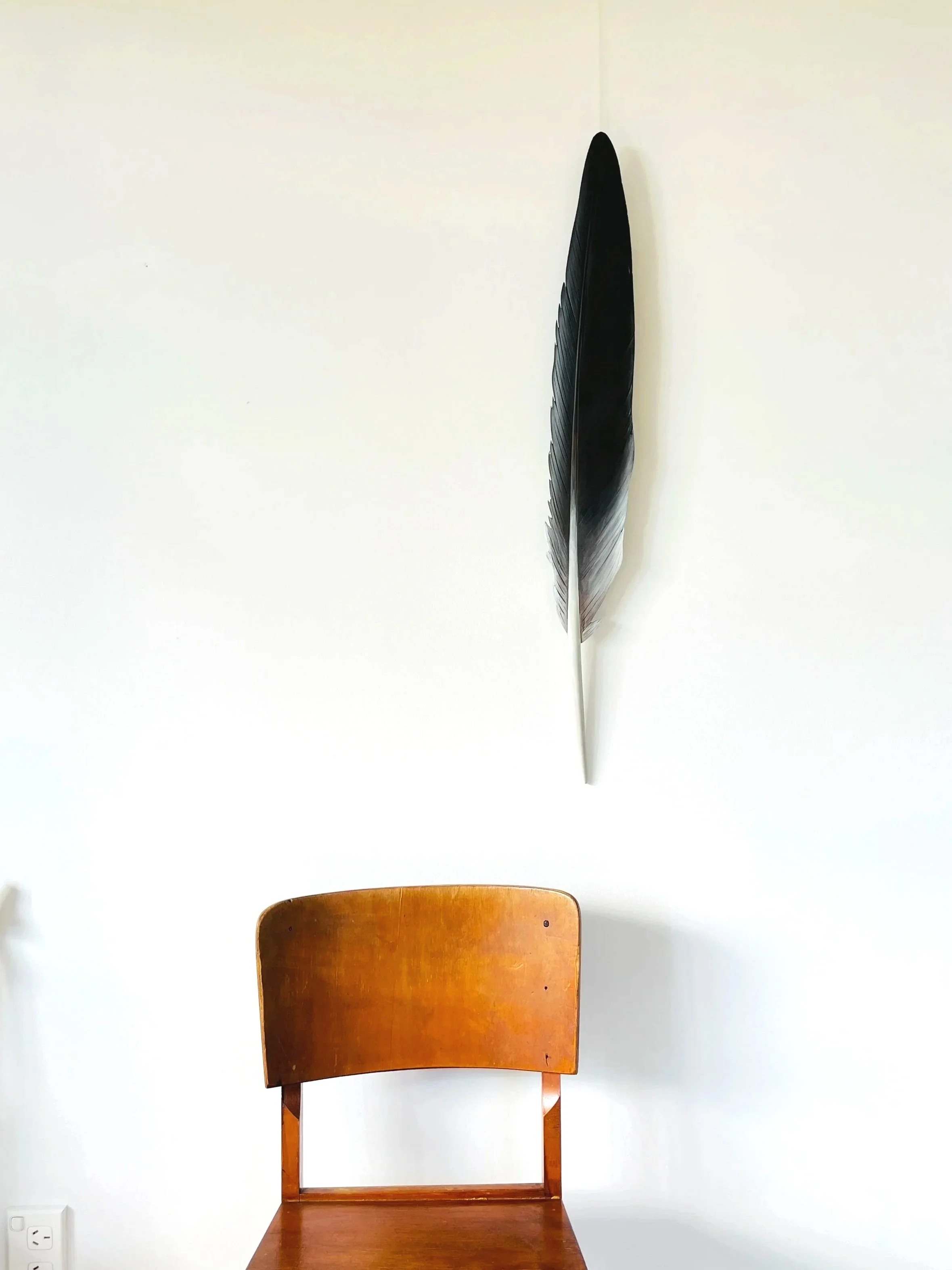 Kawau/ Cormorant Flight Feather Art 80cm