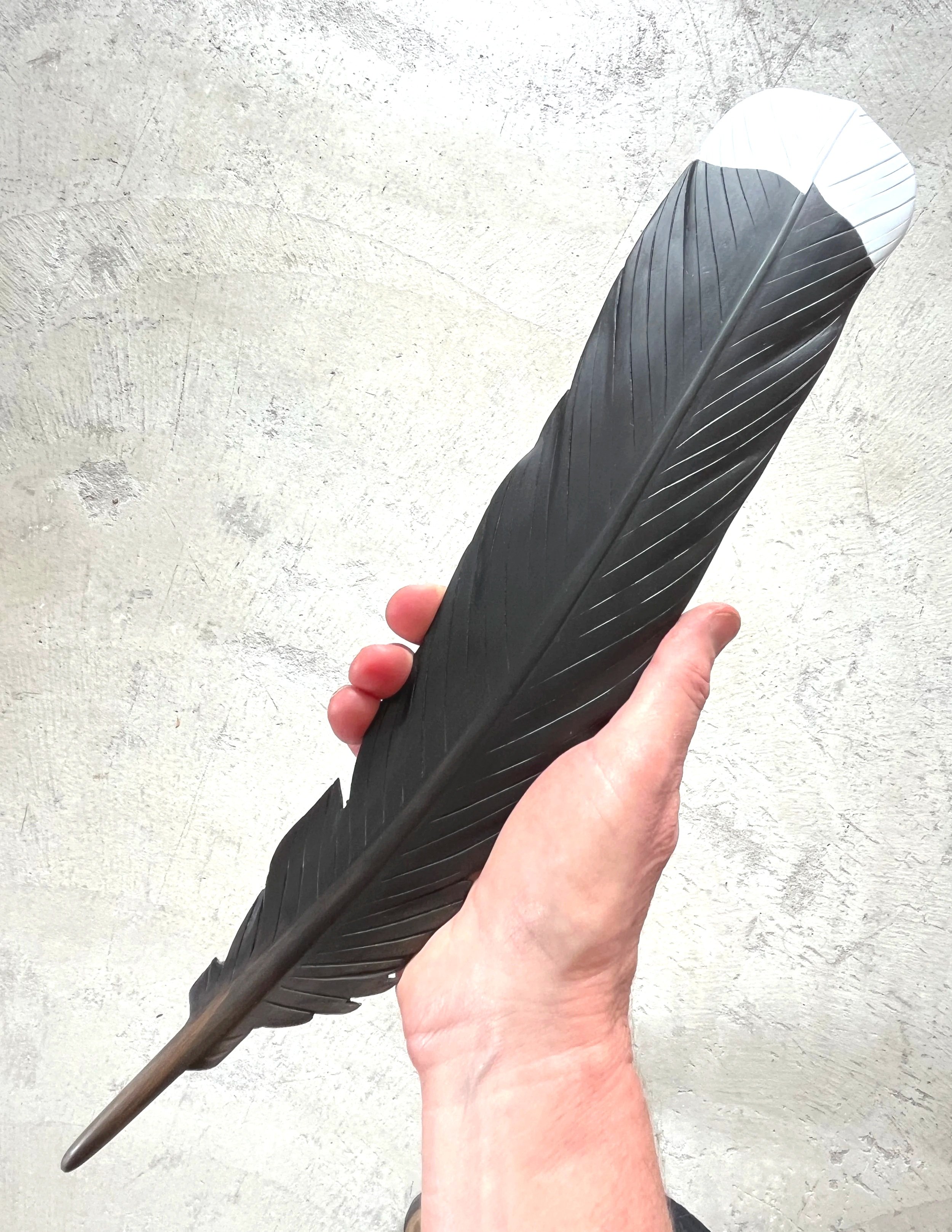 huia+feather+art+by+claire+jensen.jpg