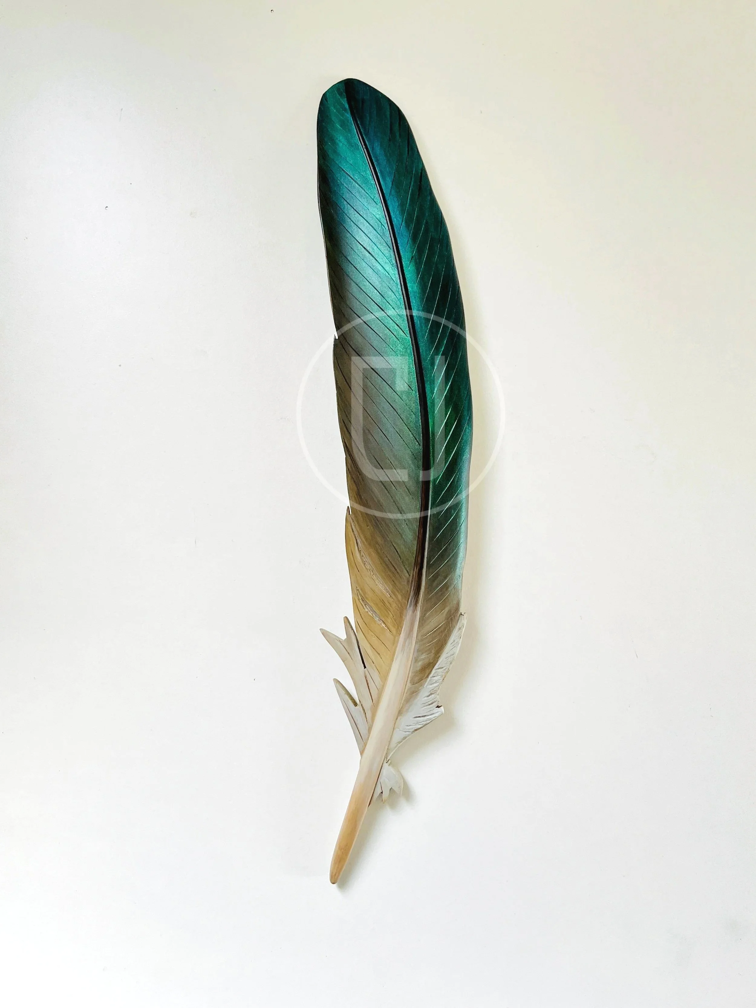 wall-art-kereru-feather-carving-claire-jensen.jpg