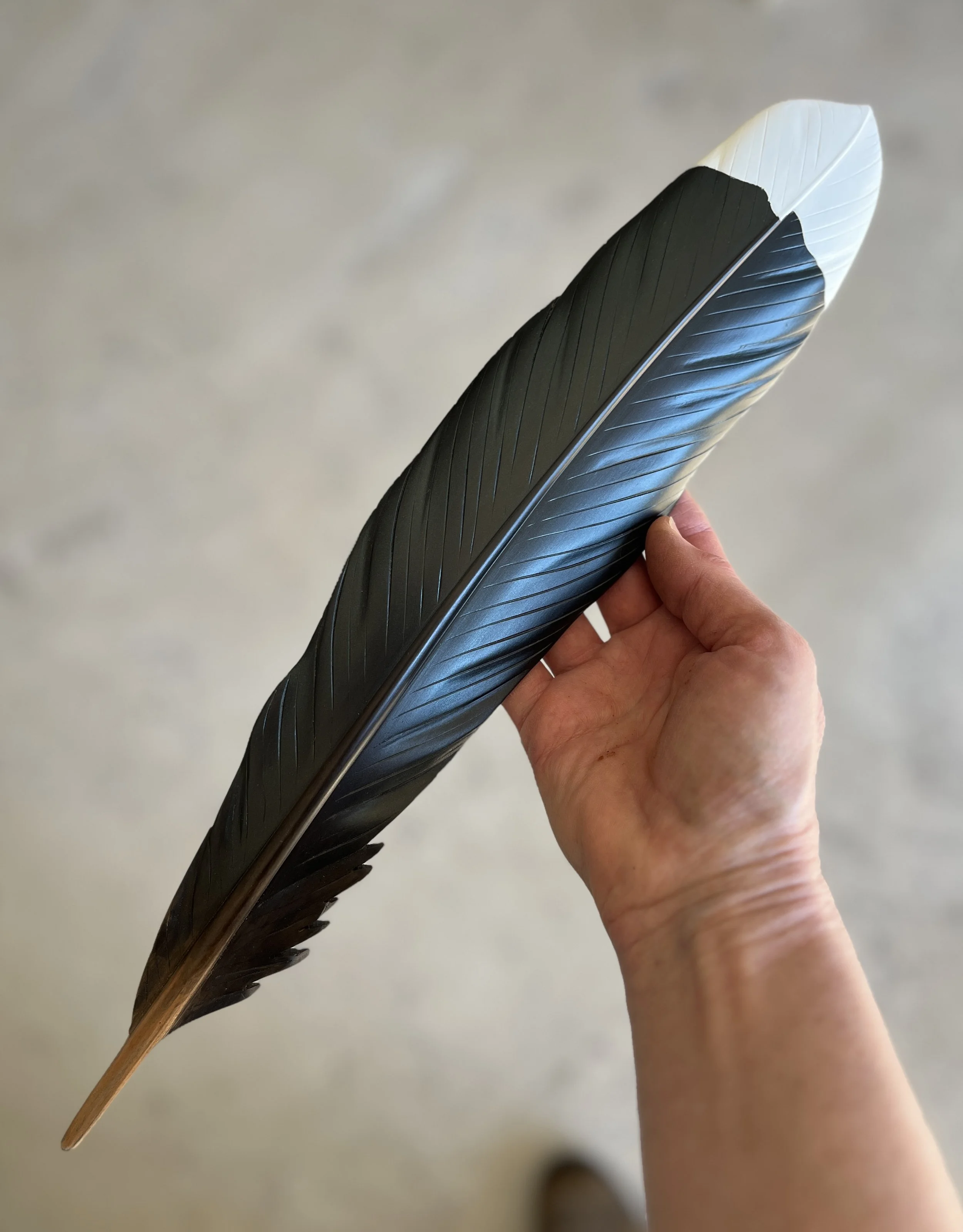 Matai Huia Feather Art