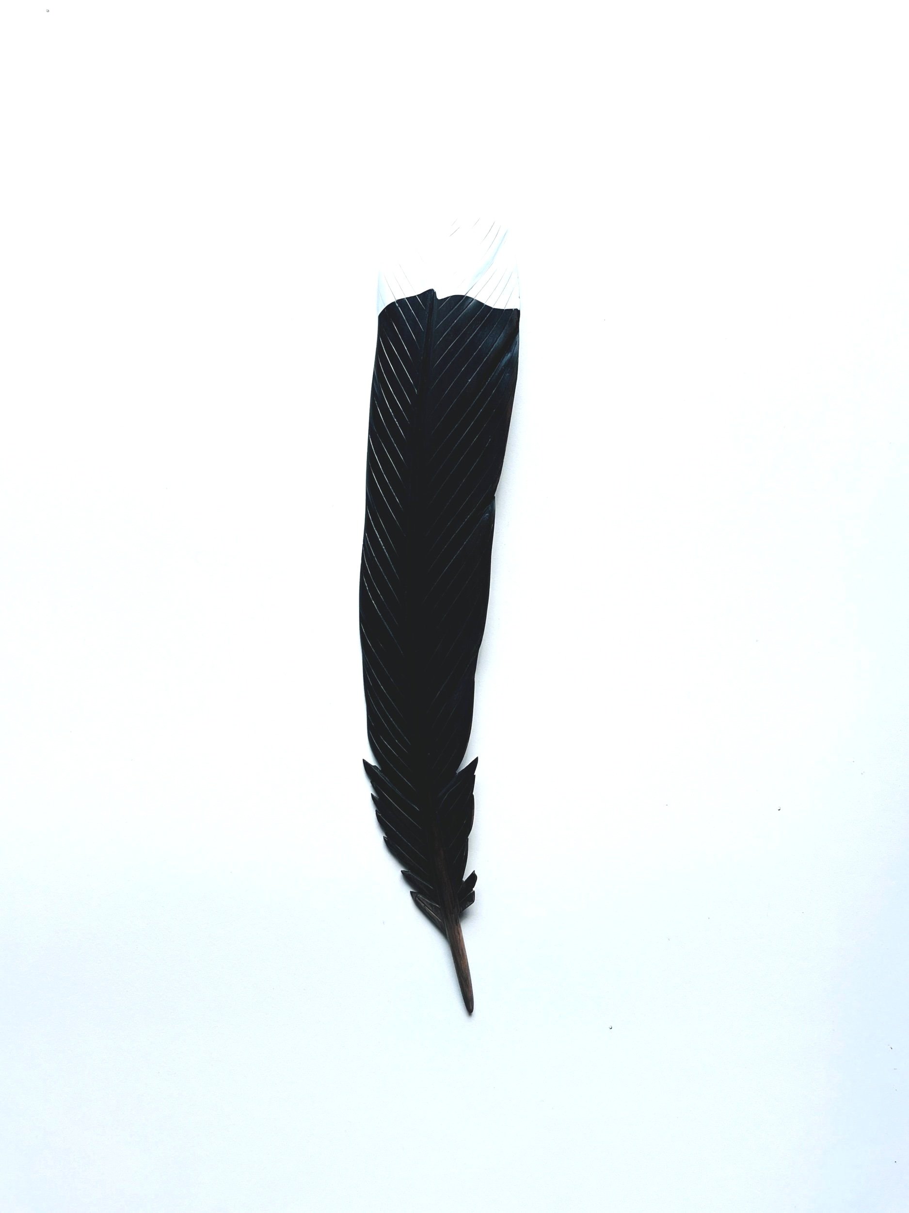 D27FC7B0-401A-417B-9E31-9CFEFF66B80F.jpg