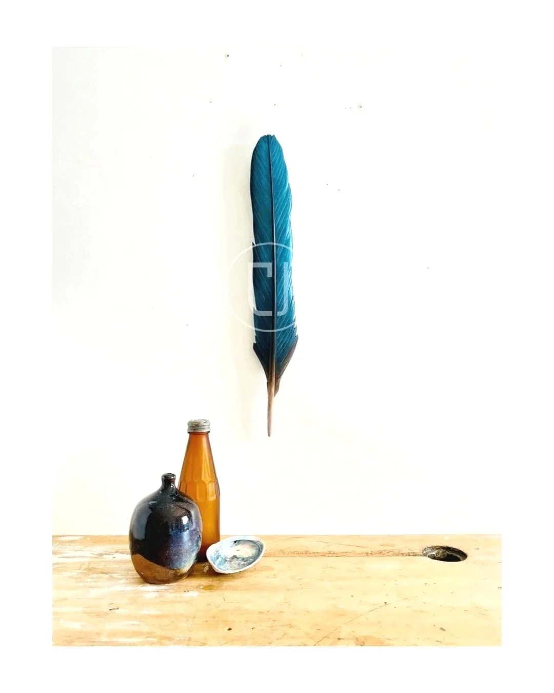kingfisher art claire jensen